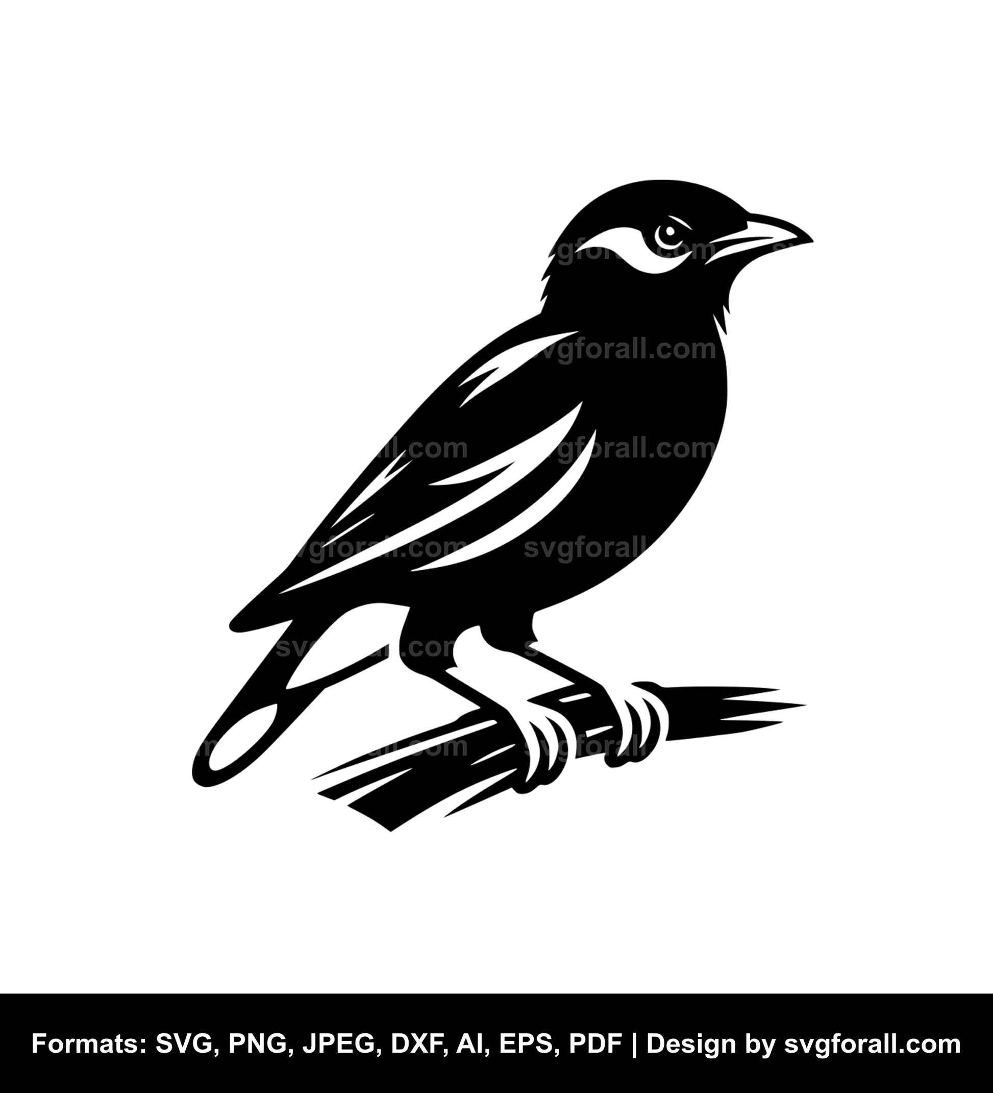 Myna Bird SVG PNG