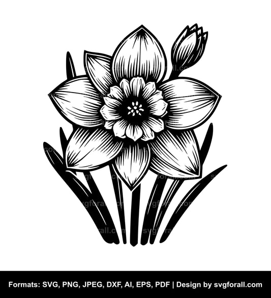 Narcissus Flower SVG