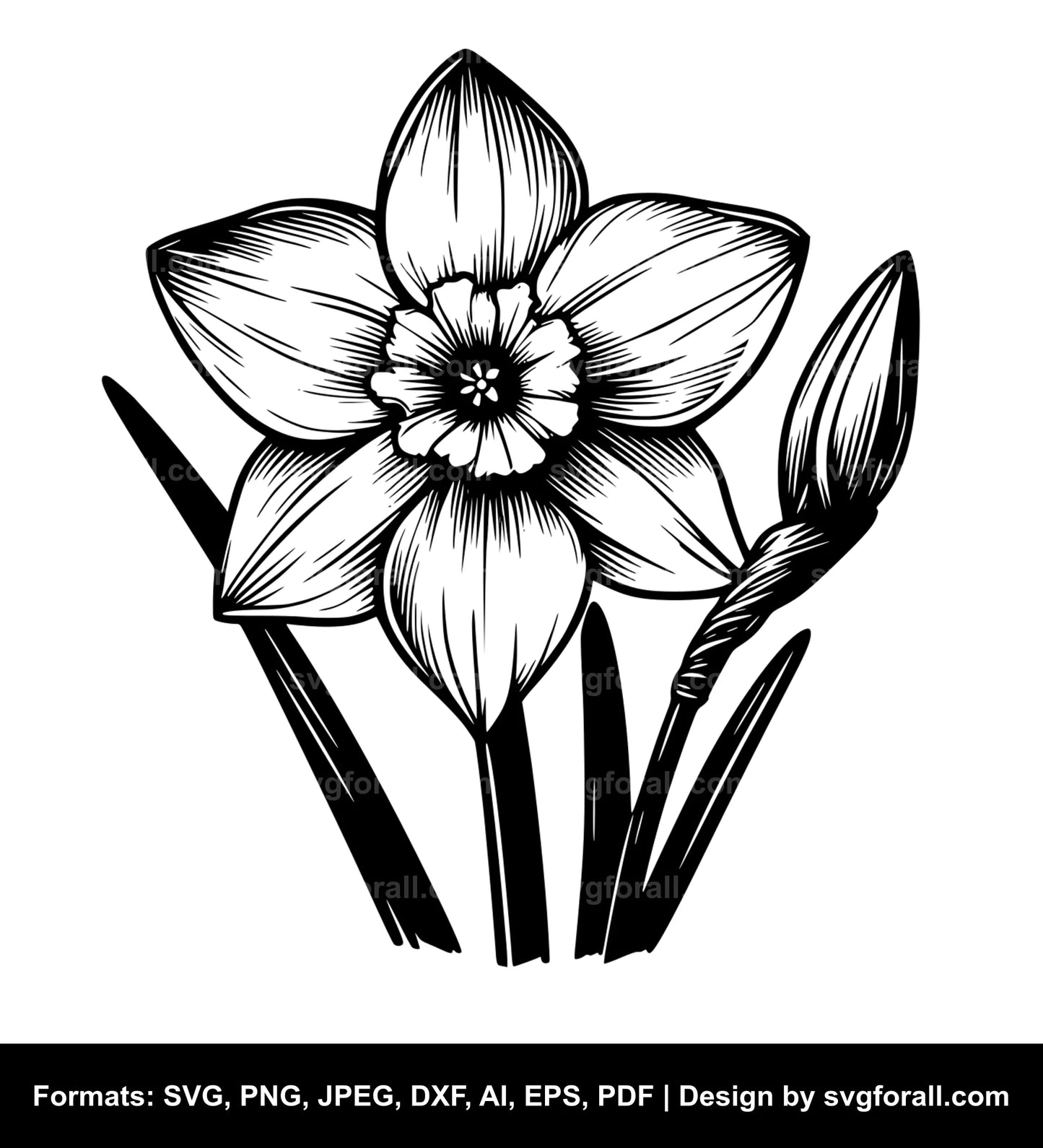 Narcissus Flower SVG Design