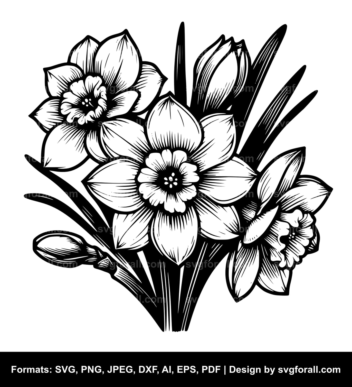 Narcissus Flower SVG PNG