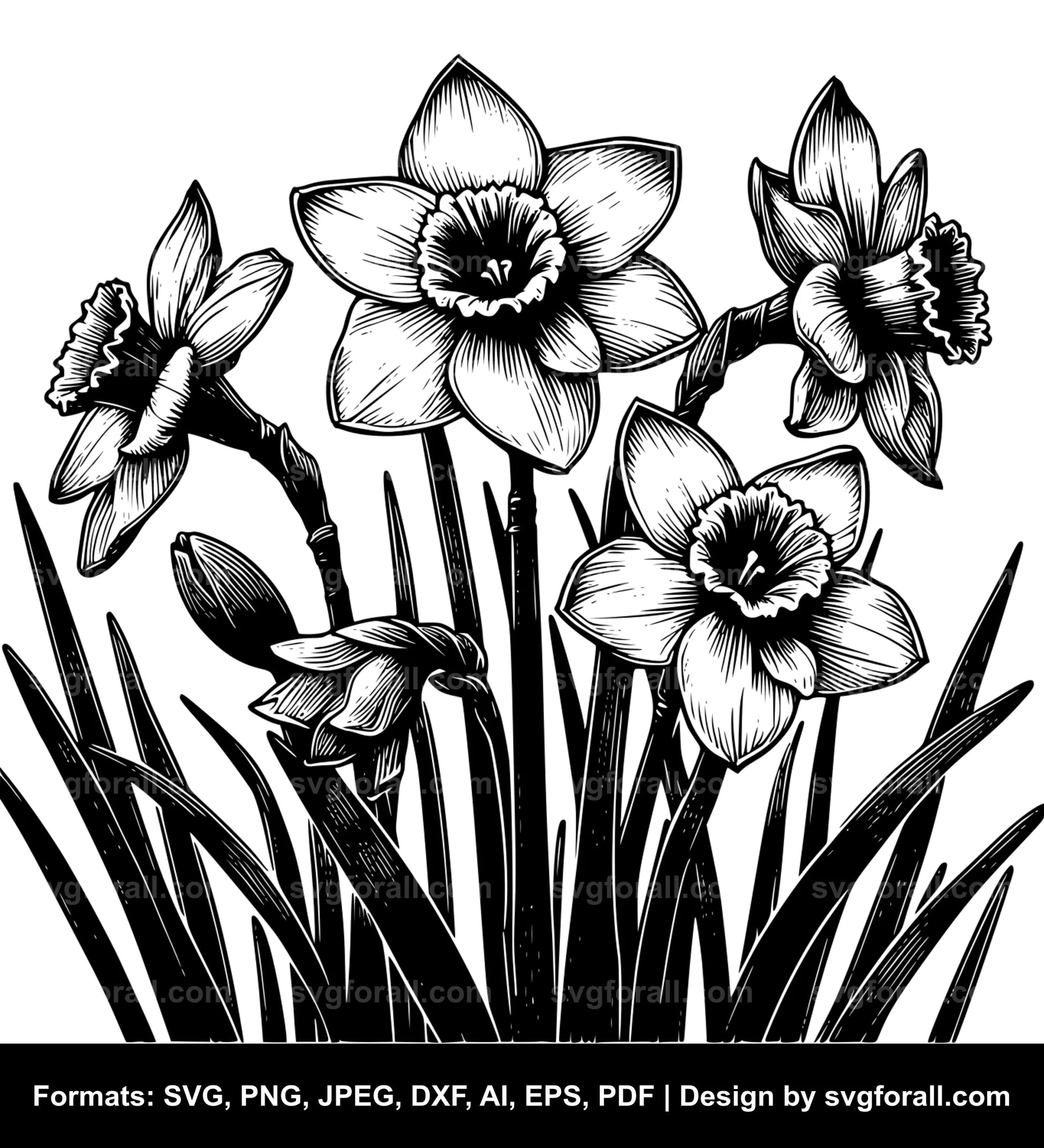 Narcissus Flower SVG Vector