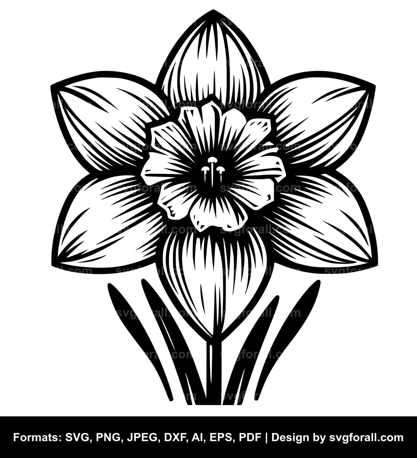 Narcissus Flower Vector SVG