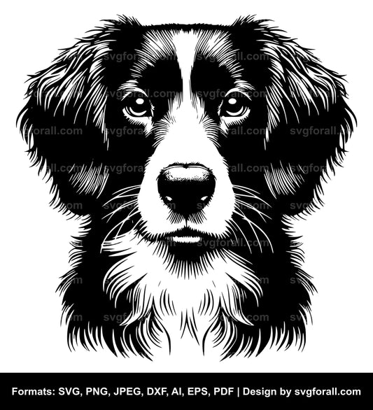 Nederlandse Kooikerhondje Dog Black SVG