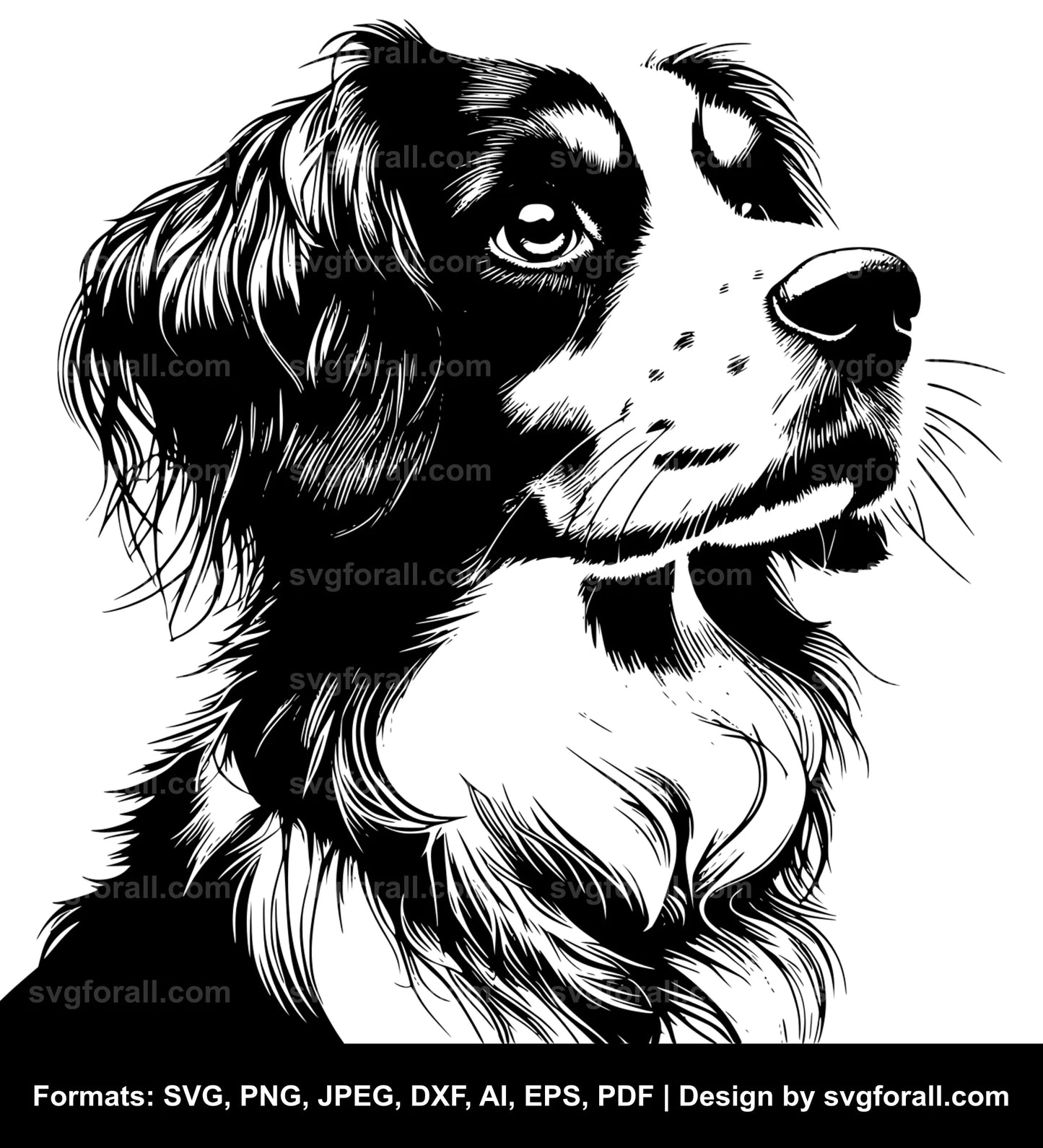 Nederlandse Kooikerhondje Dog SVG