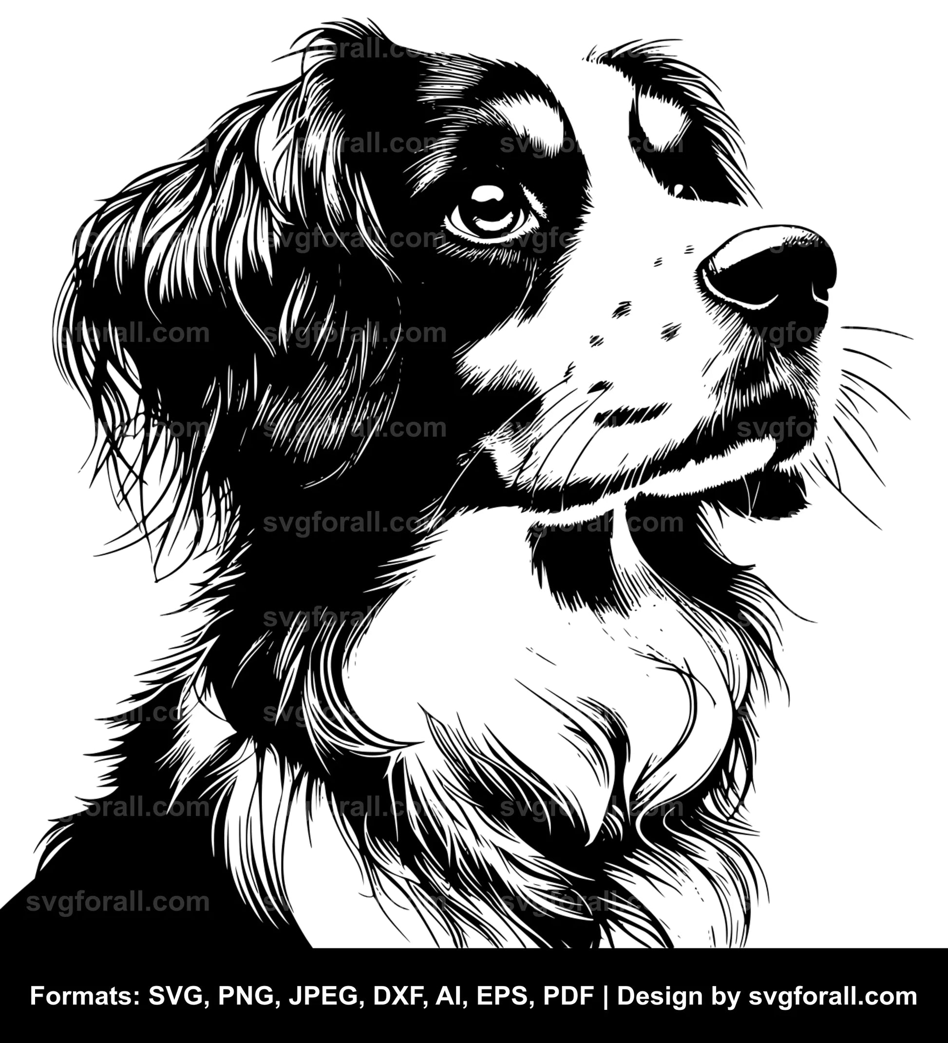 Nederlandse Kooikerhondje Dog SVG