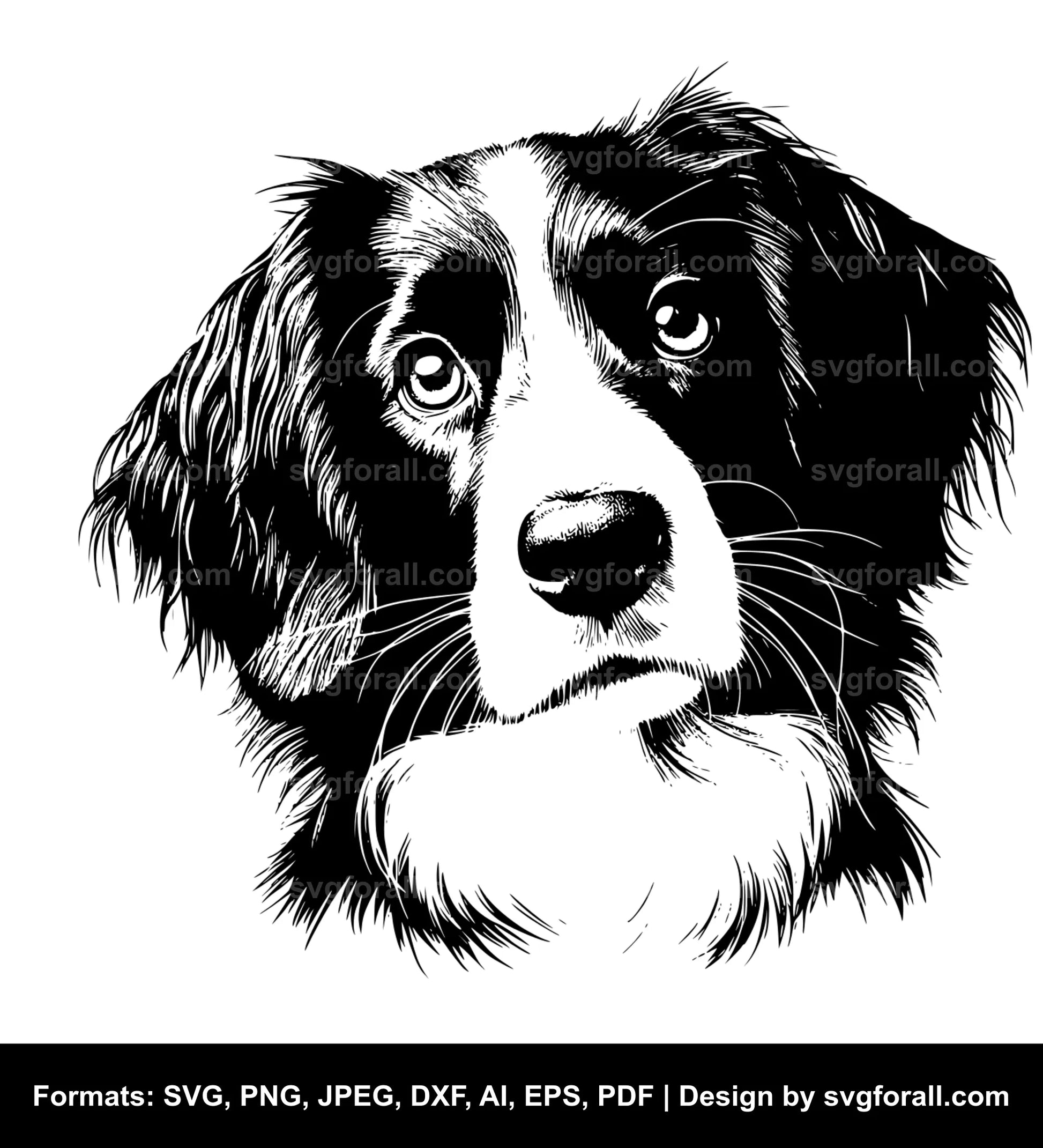 Nederlandse Kooikerhondje Dog SVG File