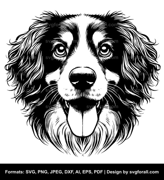 Nederlandse Kooikerhondje Dog SVG PNG