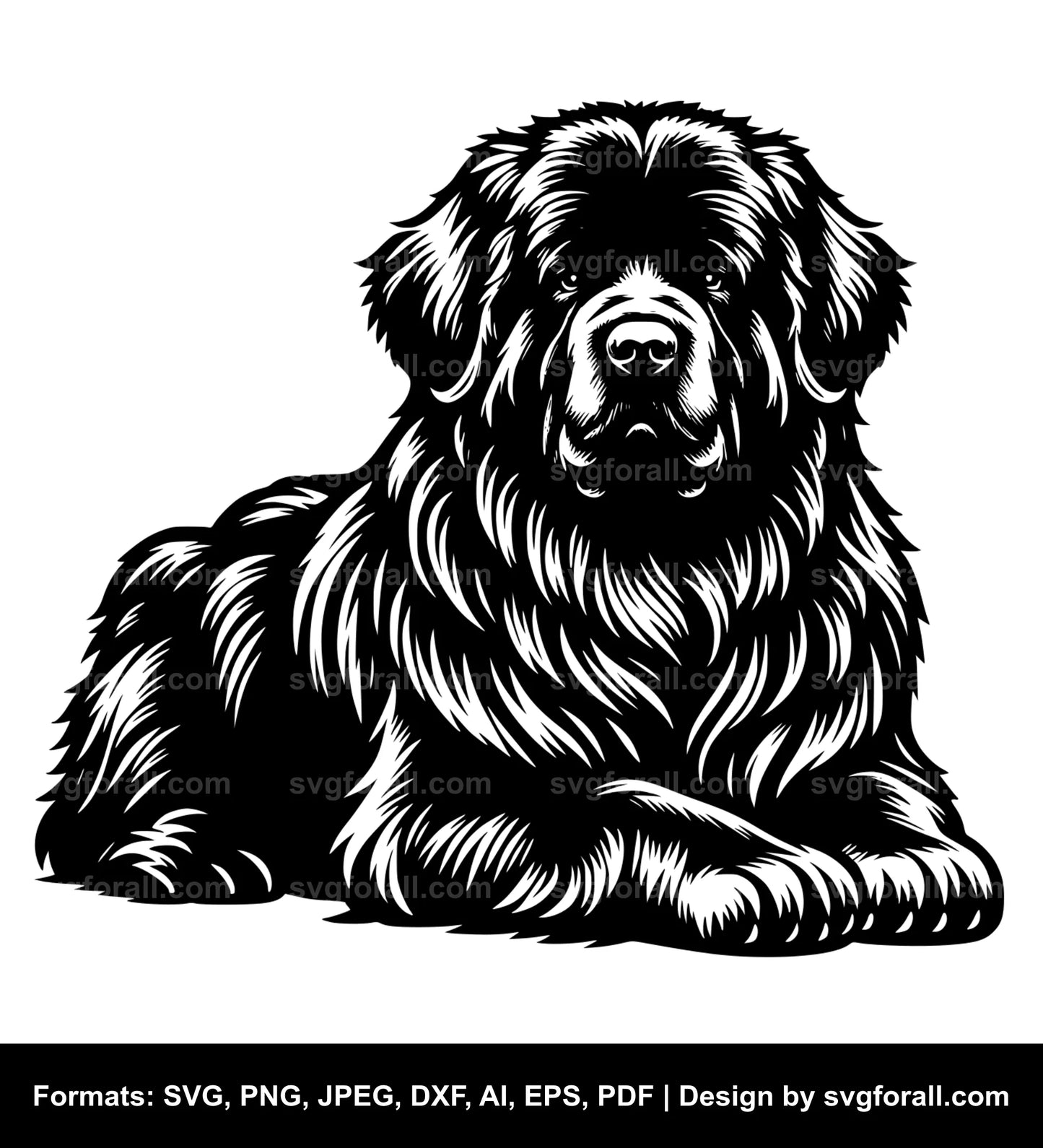 Newfoundland Dog SVG PNG