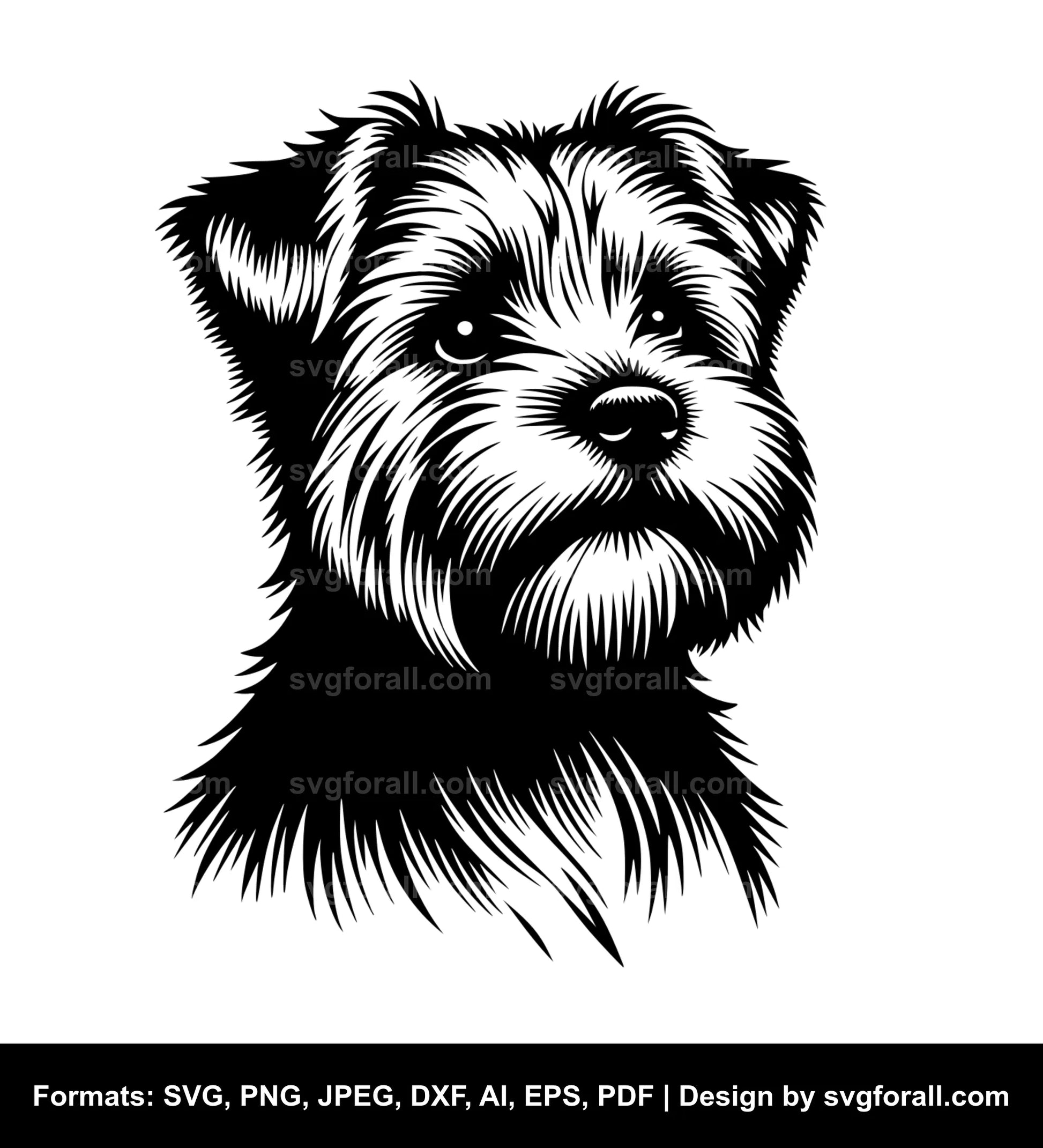 Norfolk Terrier Dog Black SVG