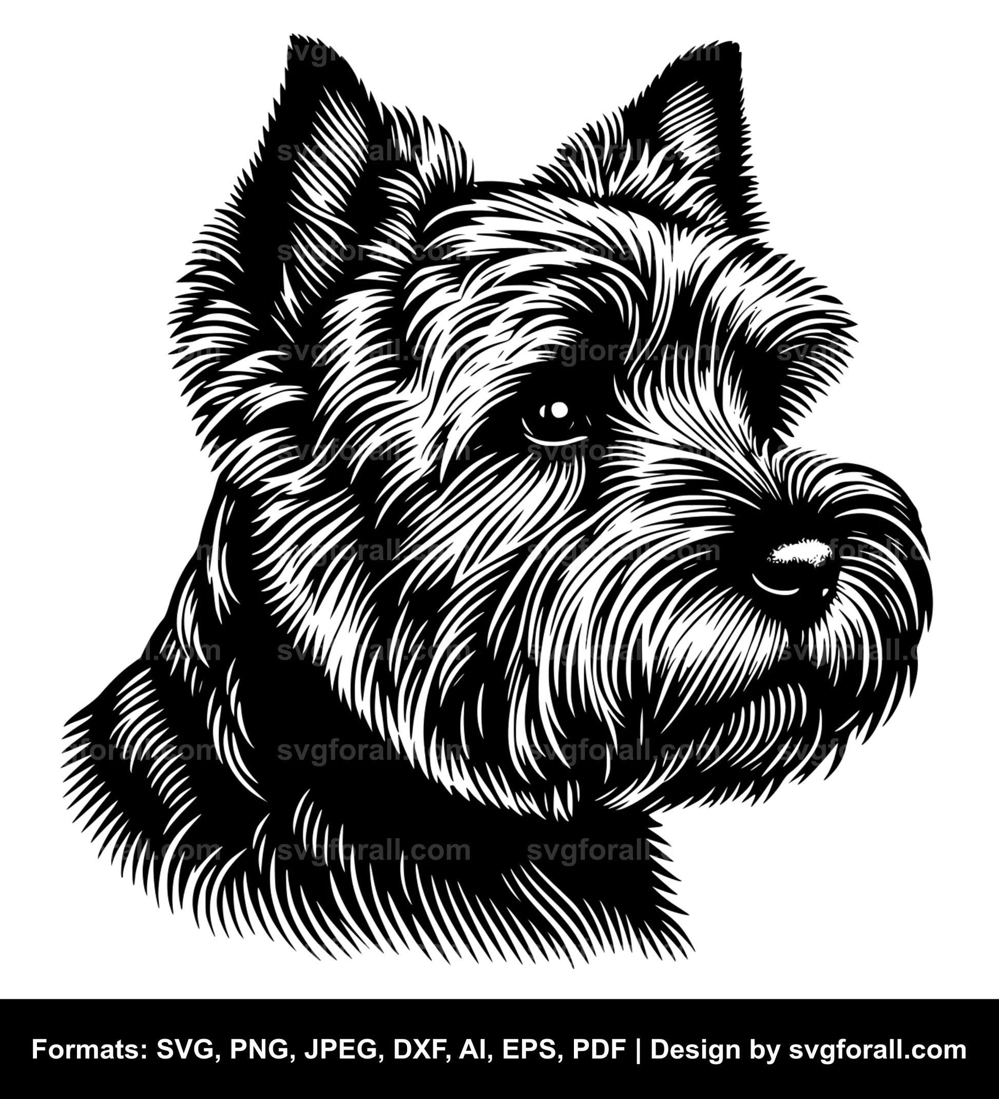 Norfolk Terrier Dog SVG Design