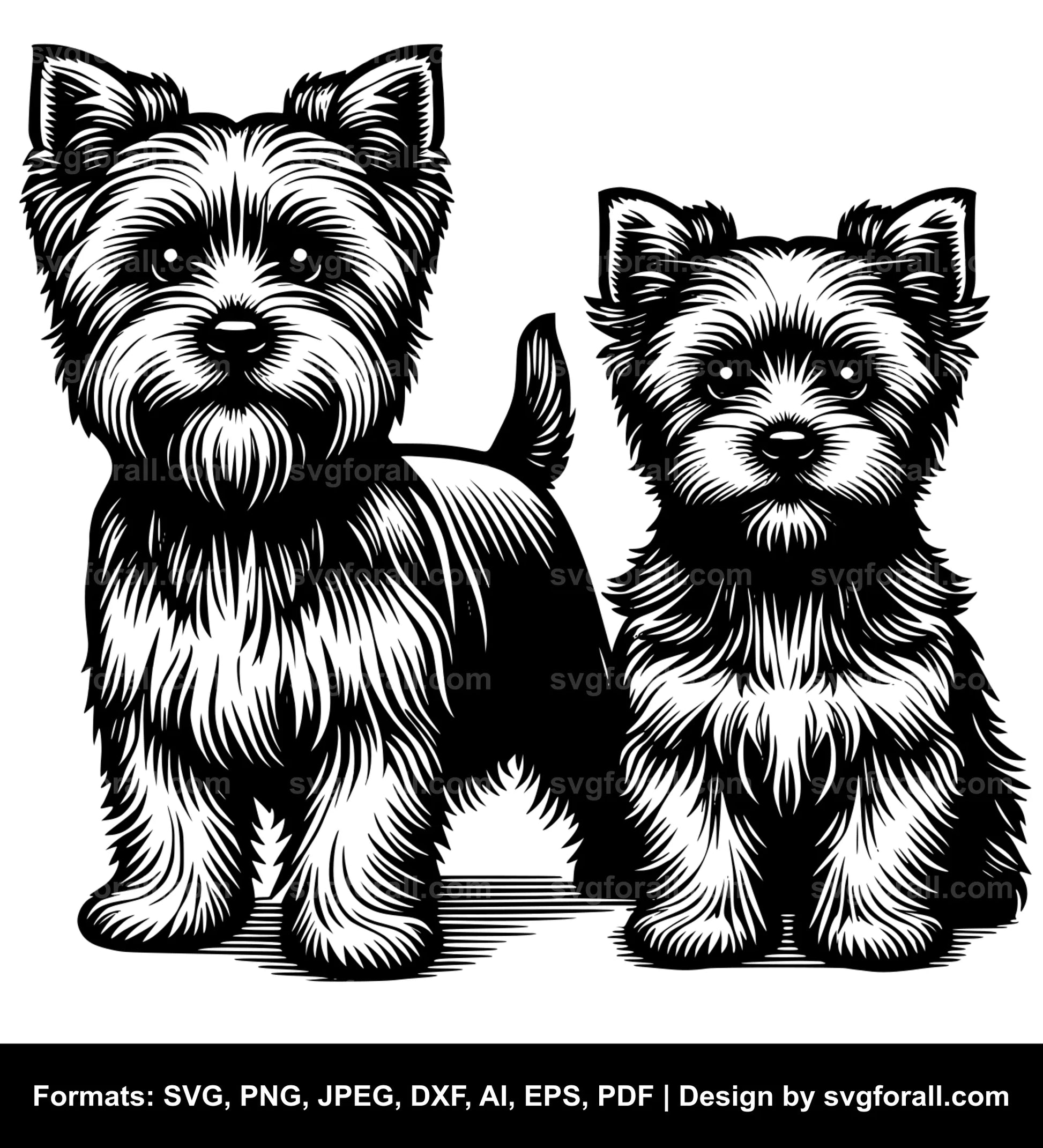 Norfolk Terrier Dog SVG PNG