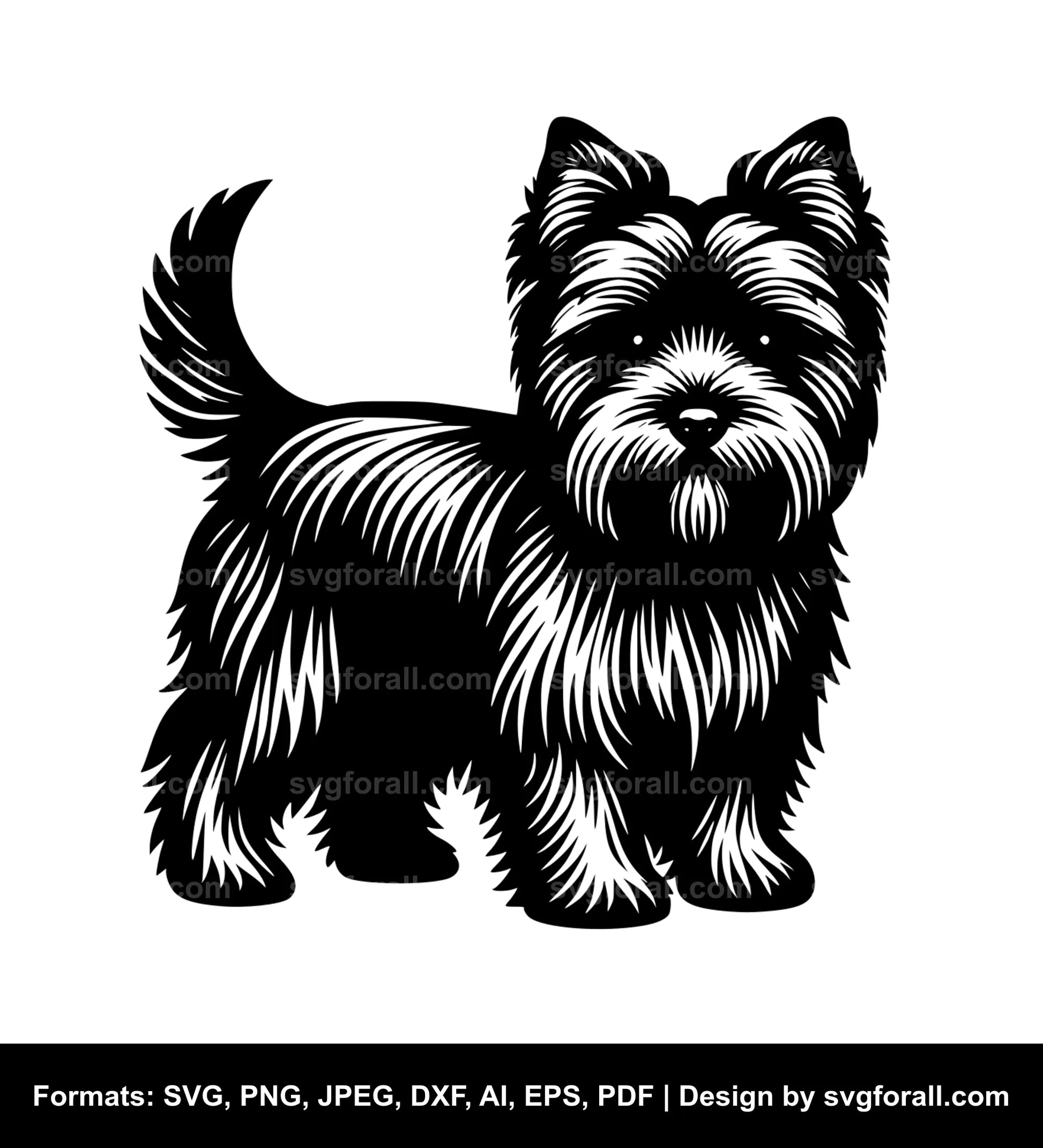 Norfolk Terrier Dog SVG Vector