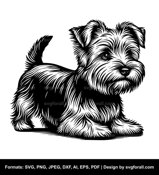 Norfolk Terrier Dog Vector SVG