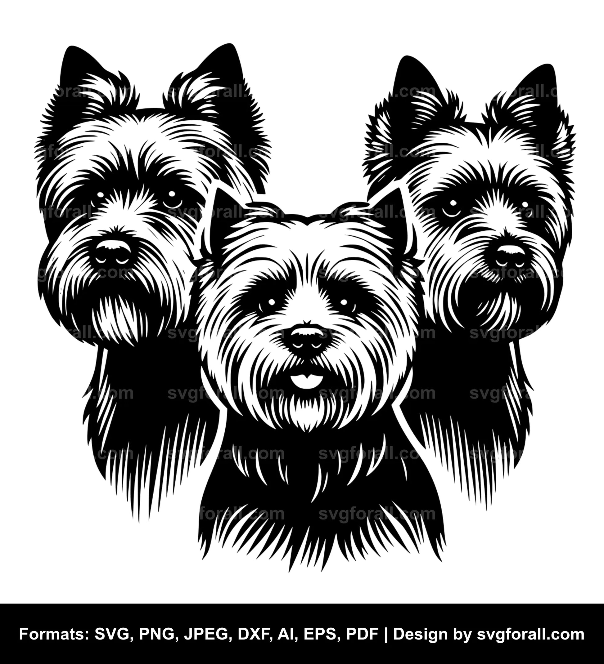 Norwich Terrier Dog SVG Design