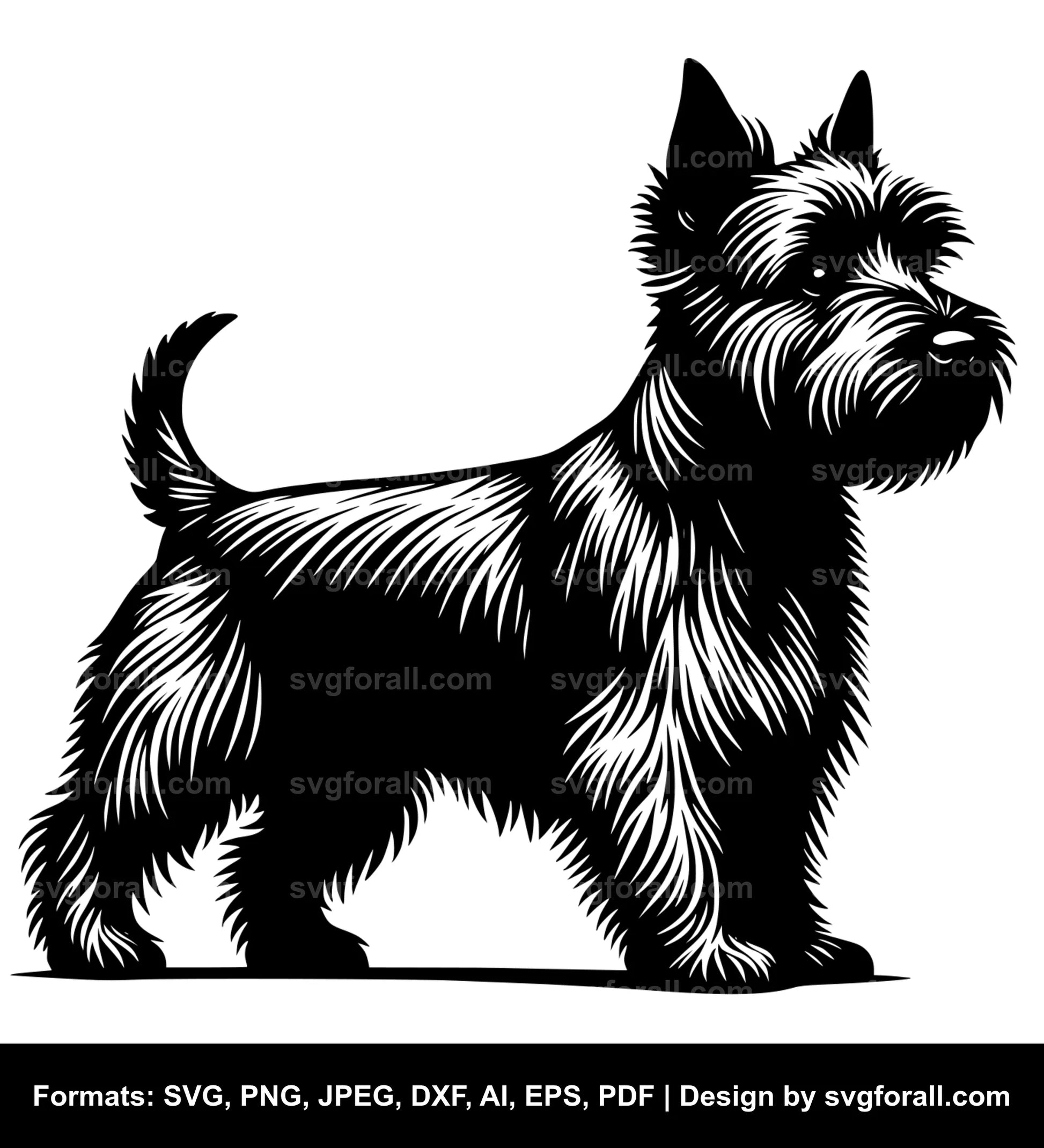 Norwich Terrier Dog SVG Vector