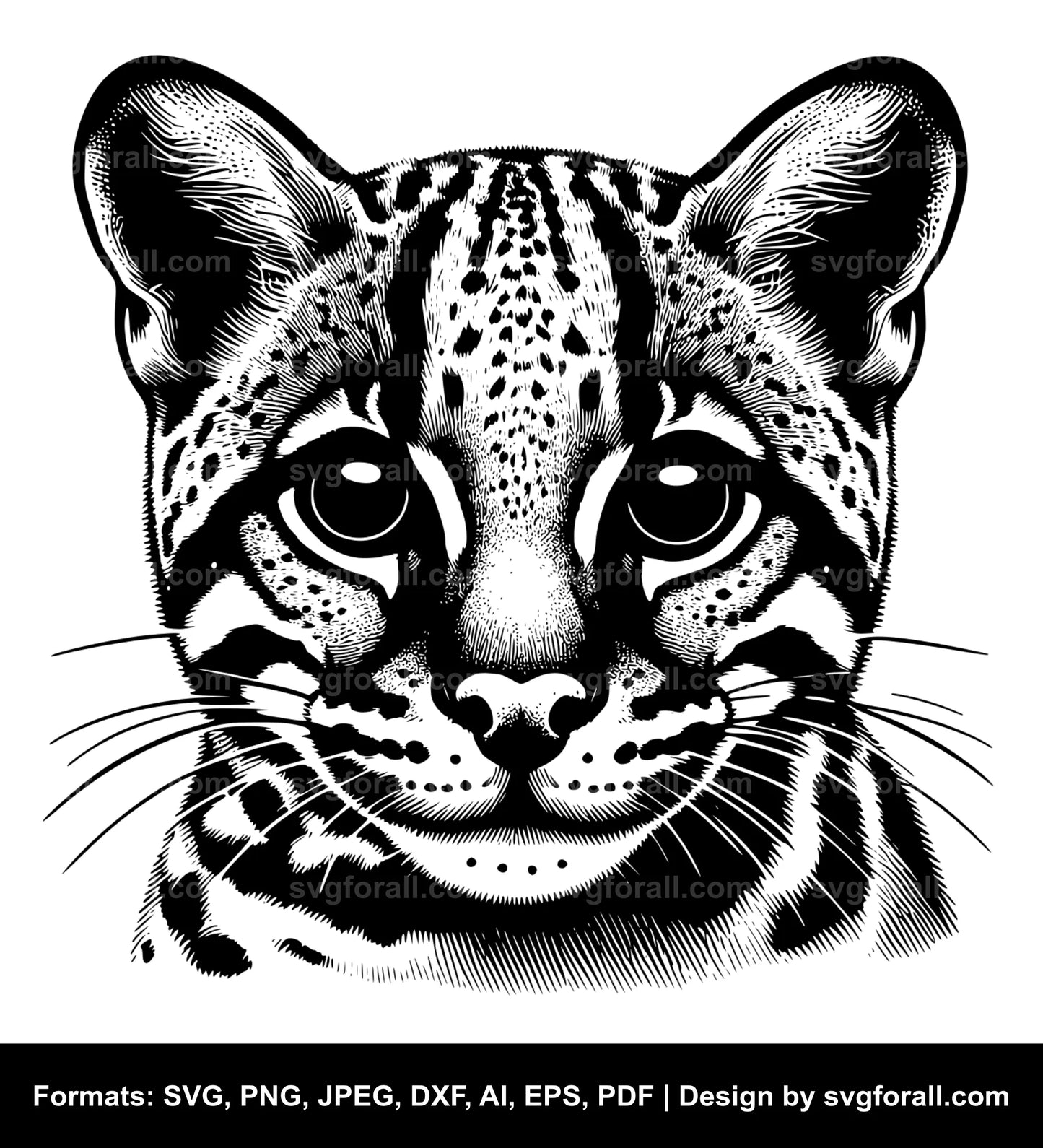 Ocelot SVG PNG