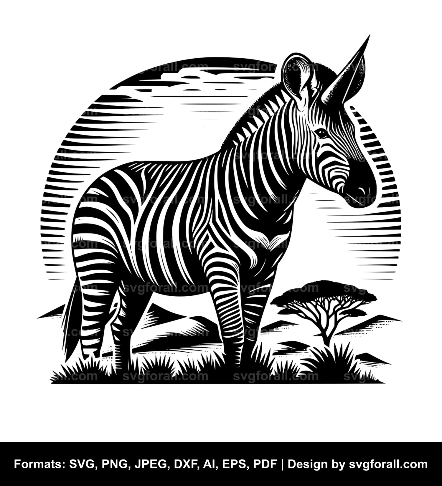 Okapi SVG Vector