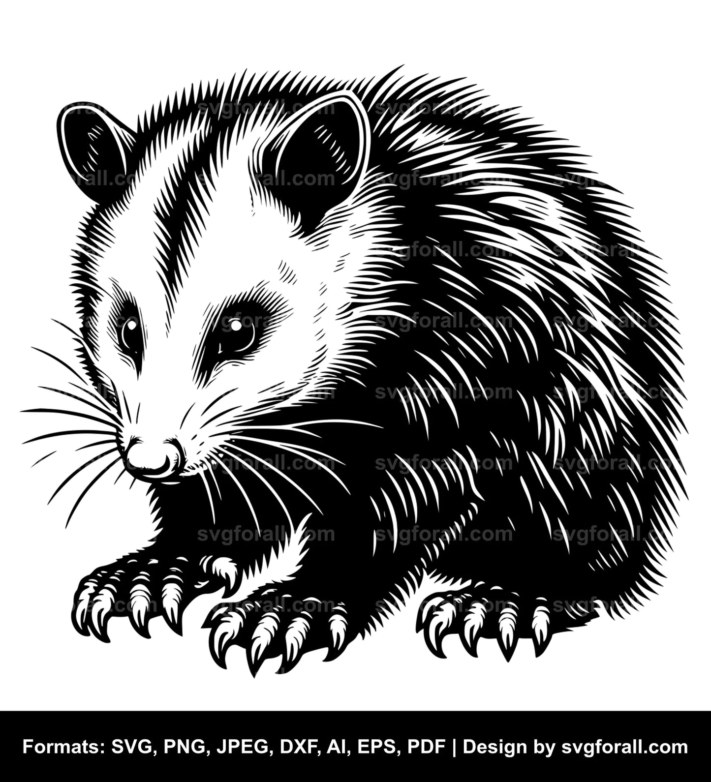 Opossum Clipart SVG