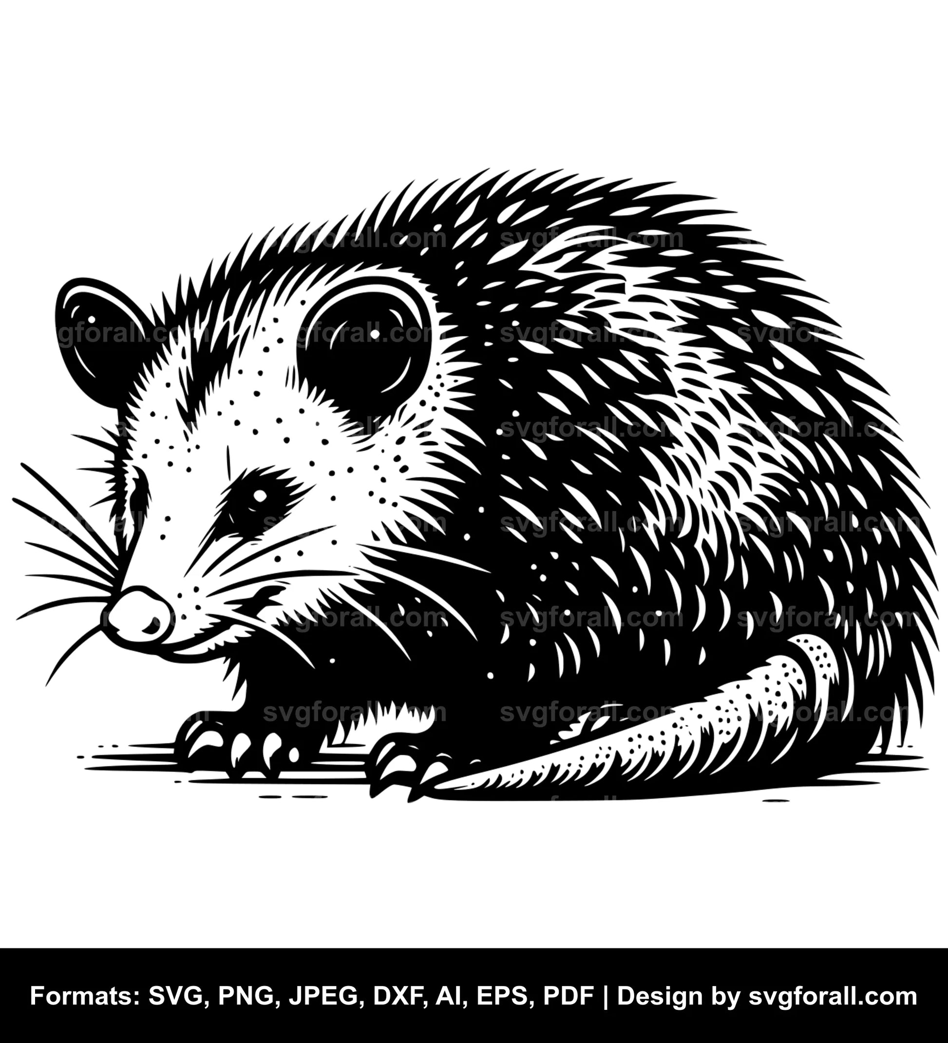 Opossum Cricut SVG