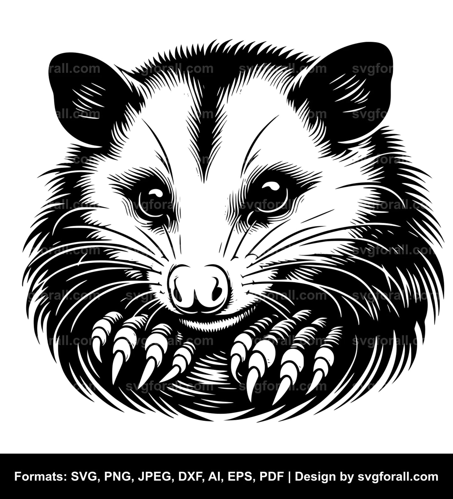 Opossum SVG Clip Art