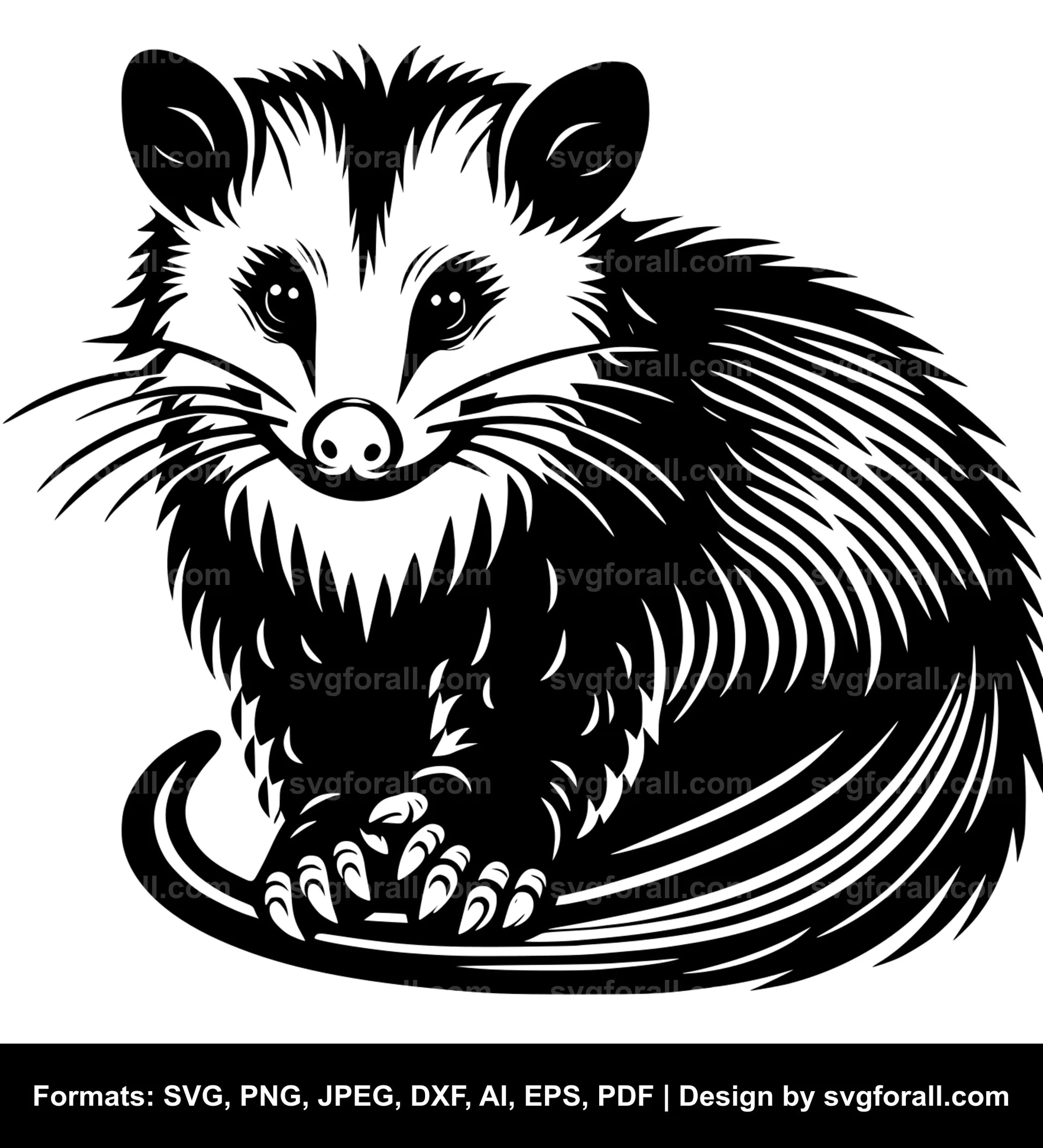 Opossum SVG Clipart