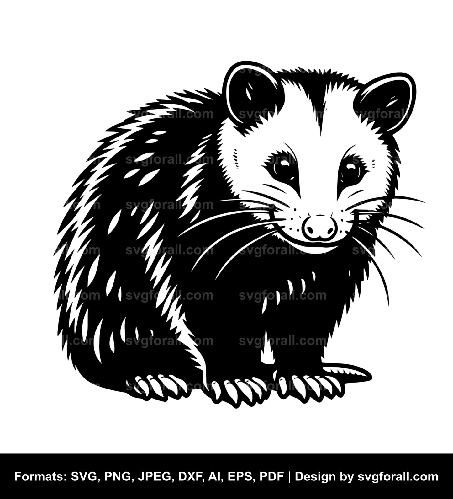 Opossum SVG Design