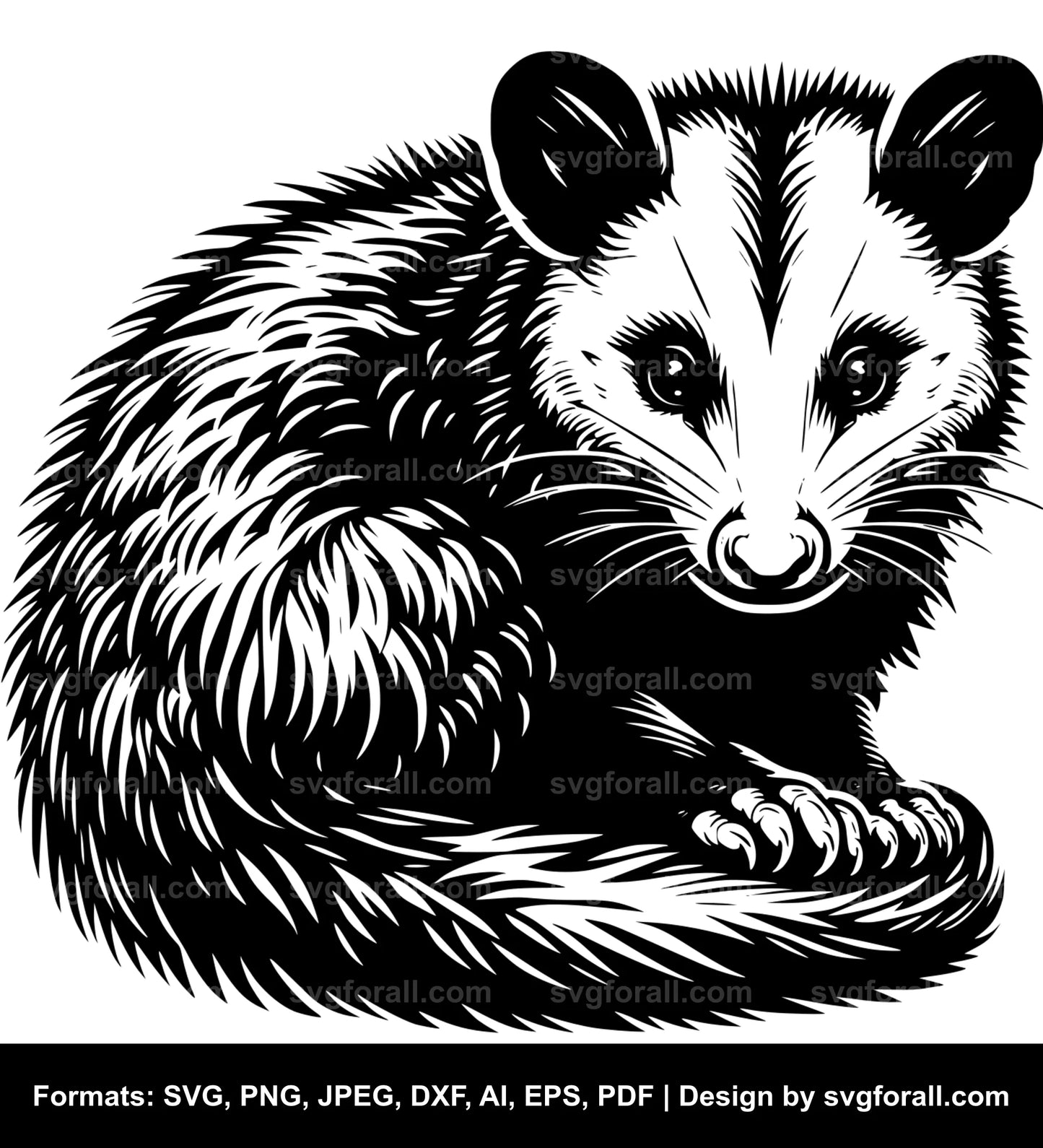 Opossum Vector SVG