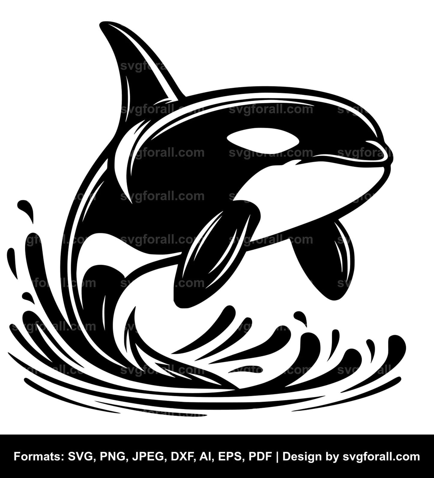 Orca SVG Vector