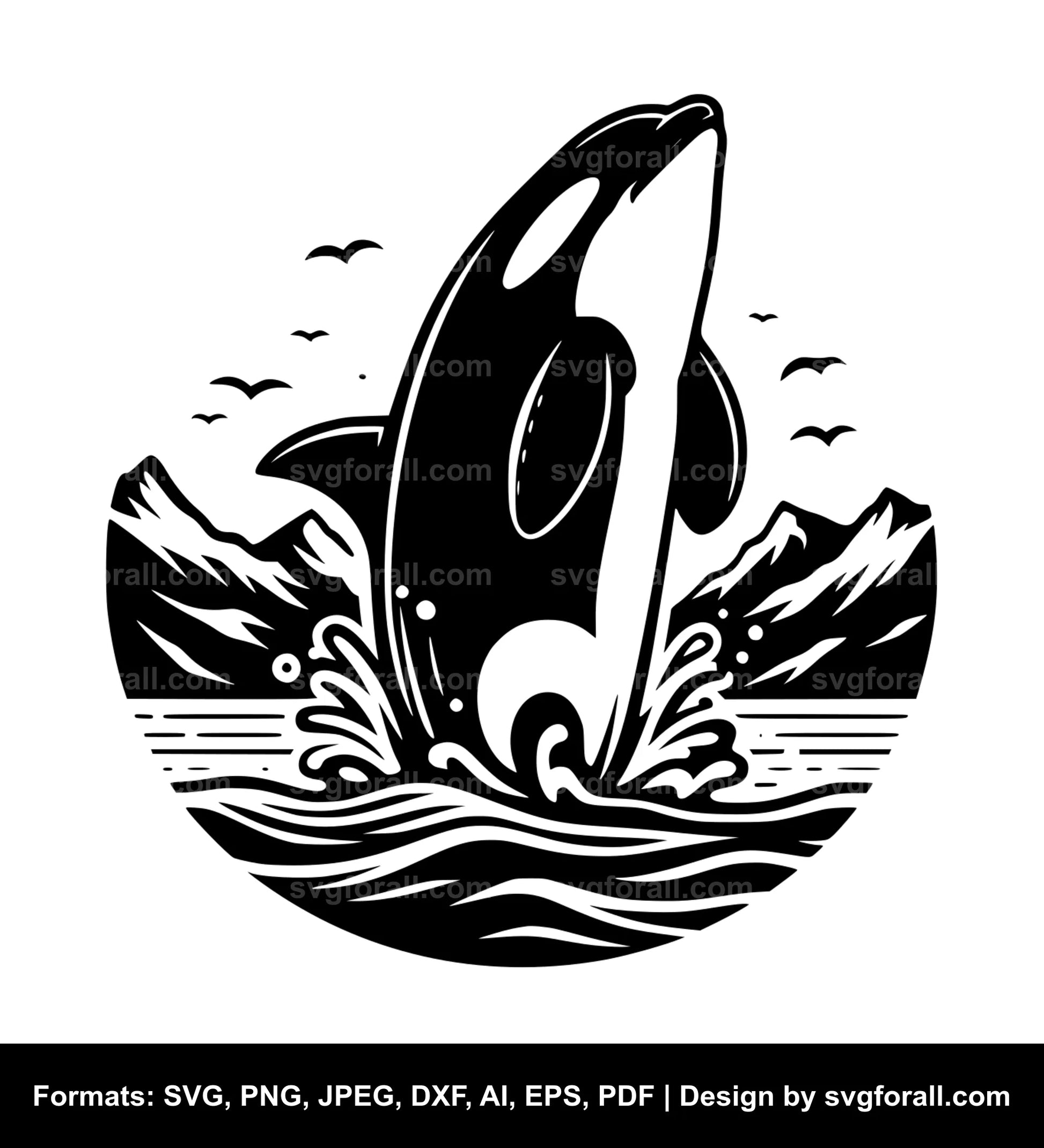 Orca Vector SVG