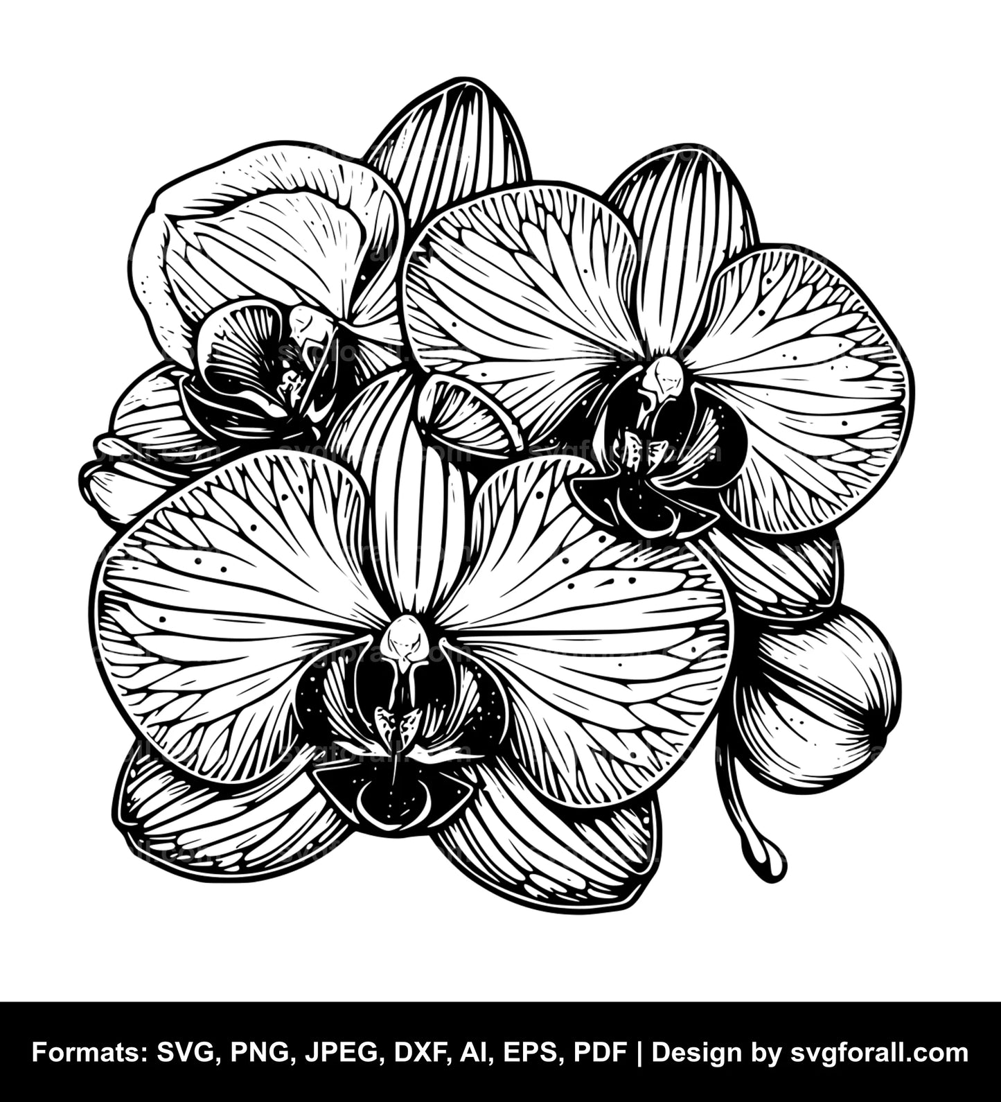 Orchid Flower Black SVG