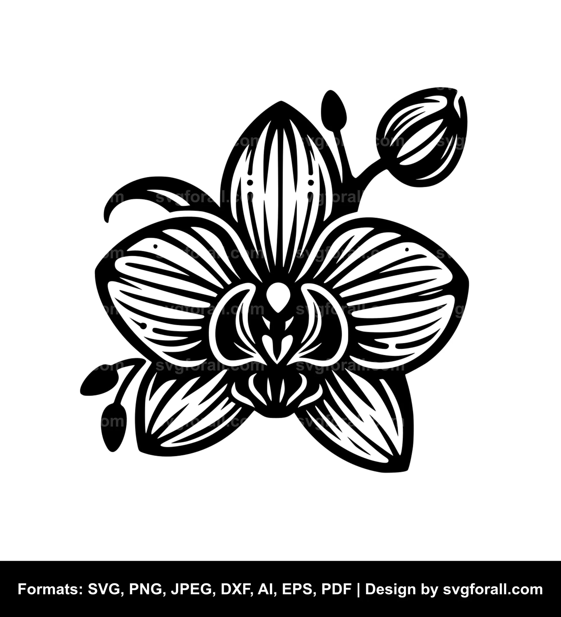 Orchid Flower Cricut SVG