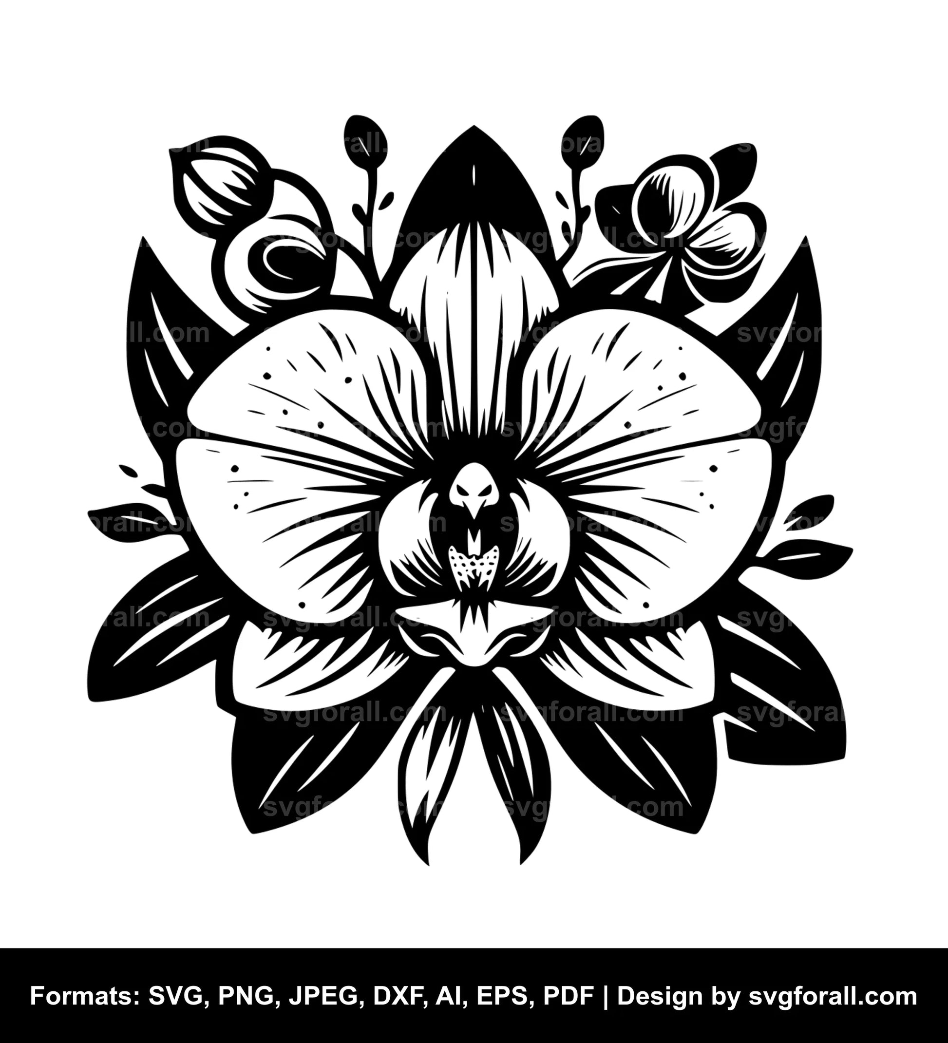 Orchid Flower SVG Design