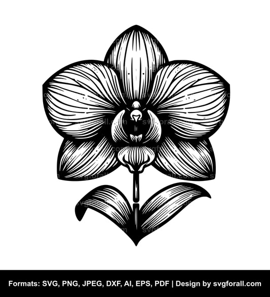 Orchid Flower SVG File