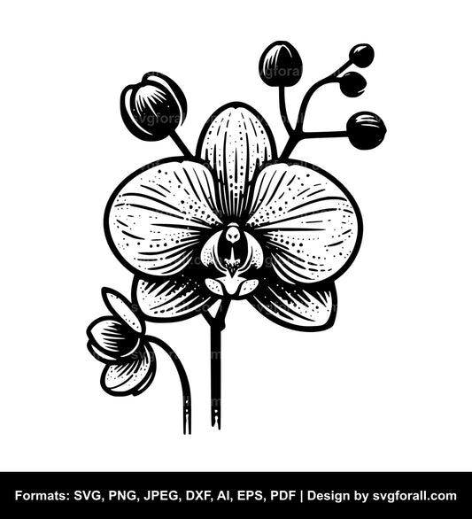 Orchid Flower SVG PNG