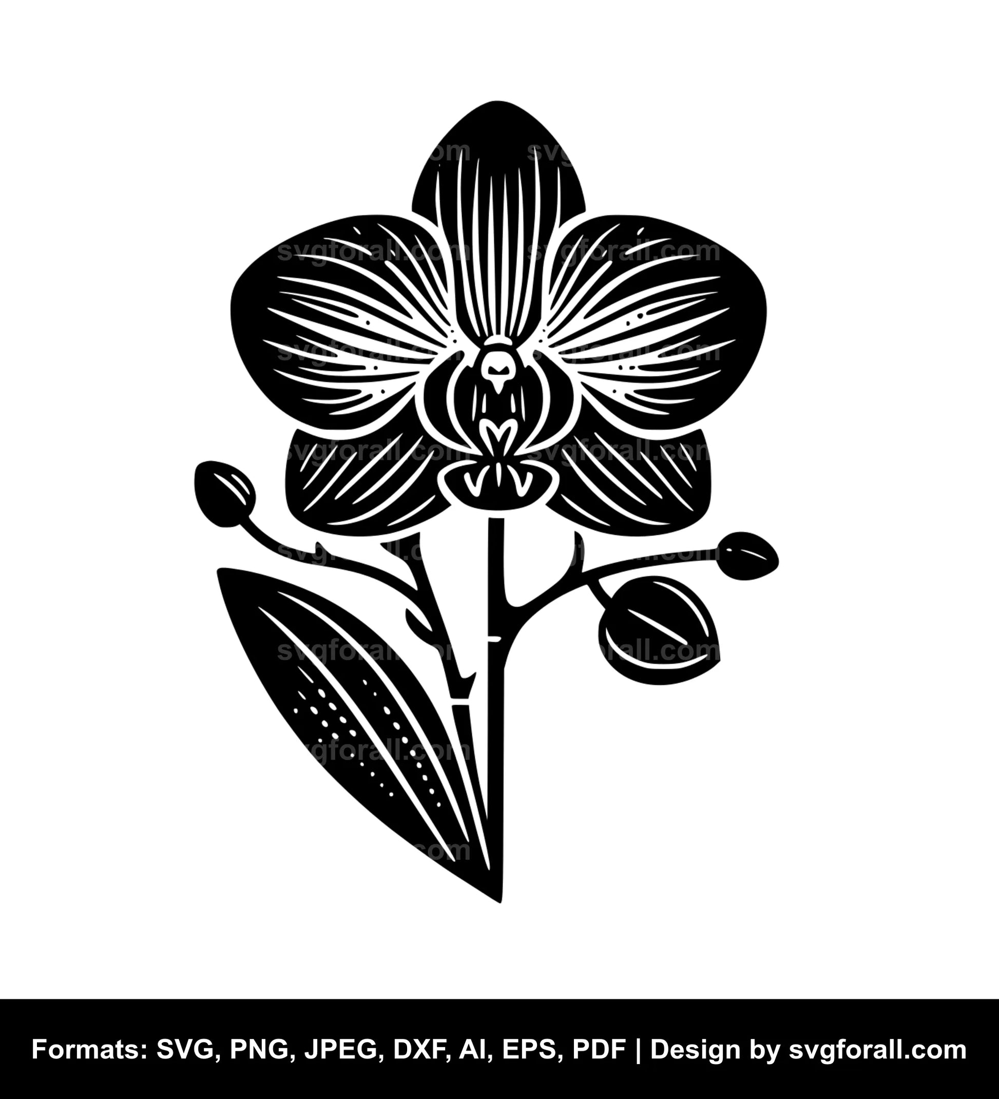 Orchid Flower SVG Vector