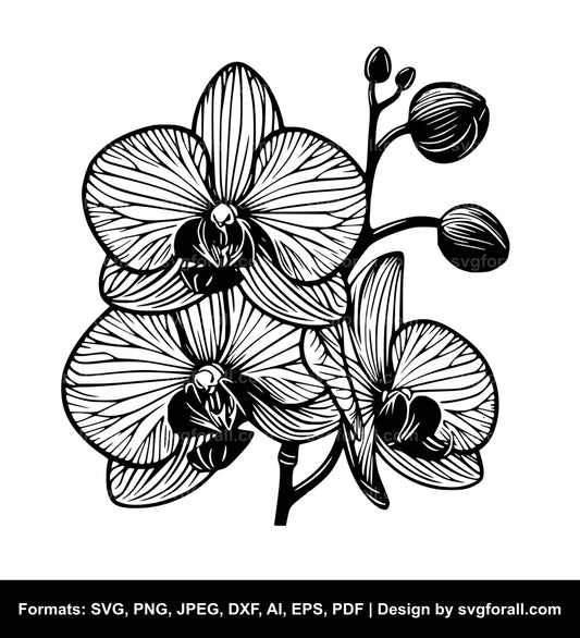 Orchid Flower Vector SVG