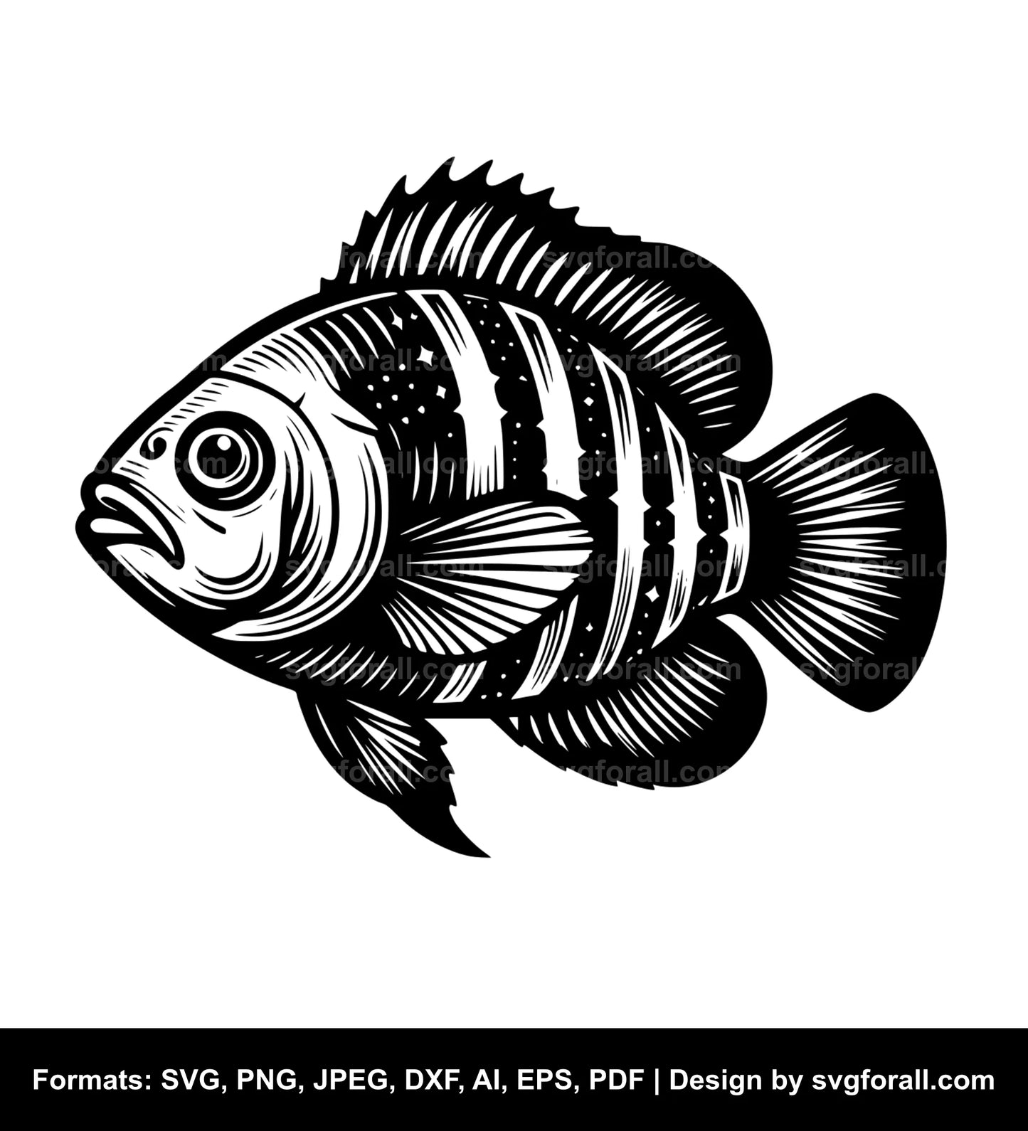 Oscar Fish Vector SVG