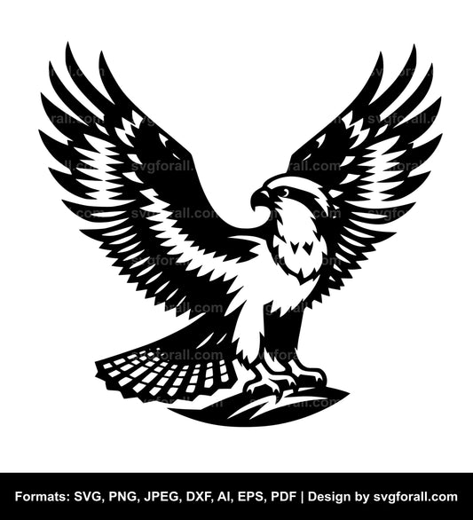 Osprey Bird SVG Vector