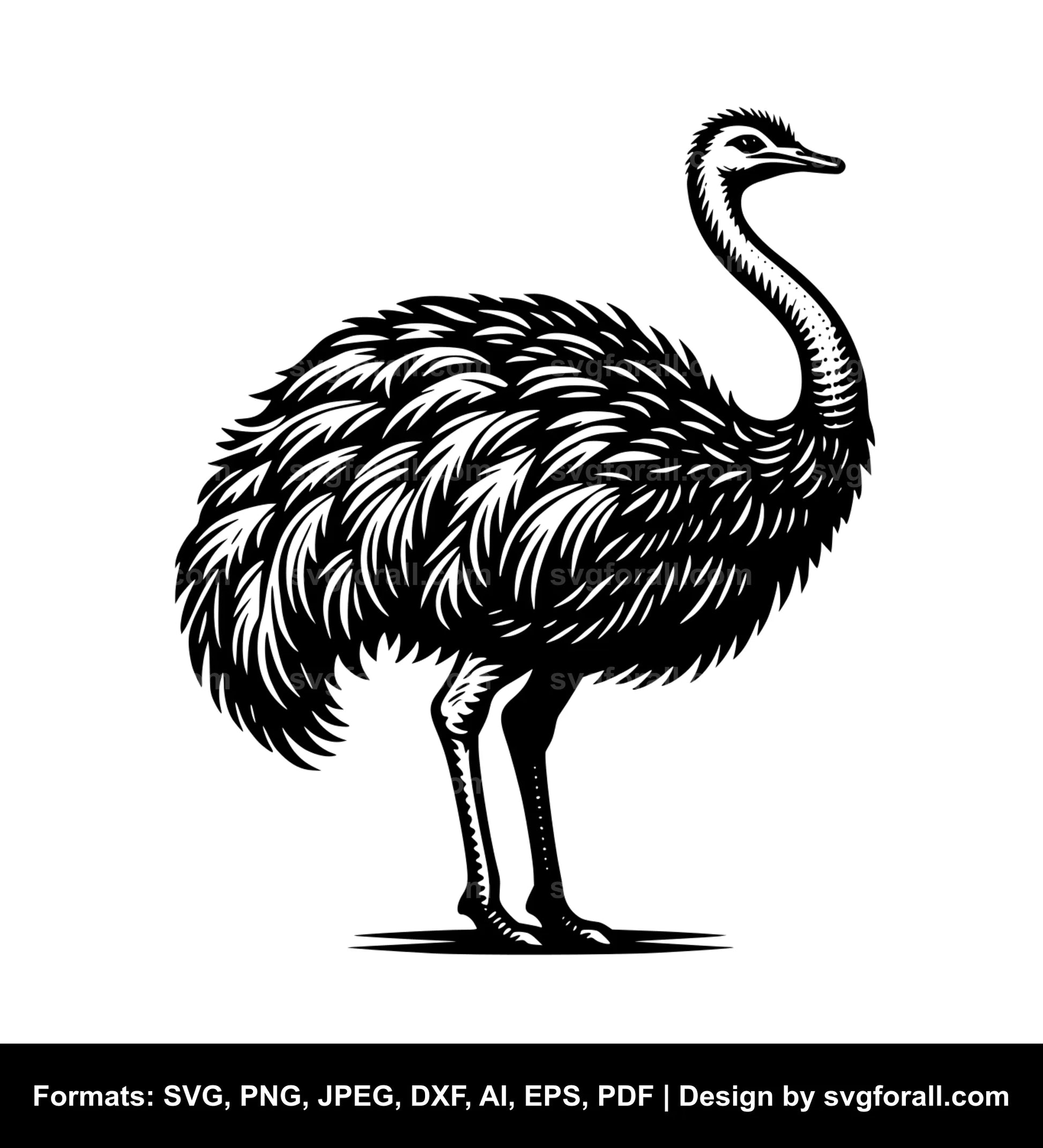 Ostrich Black SVG PNG