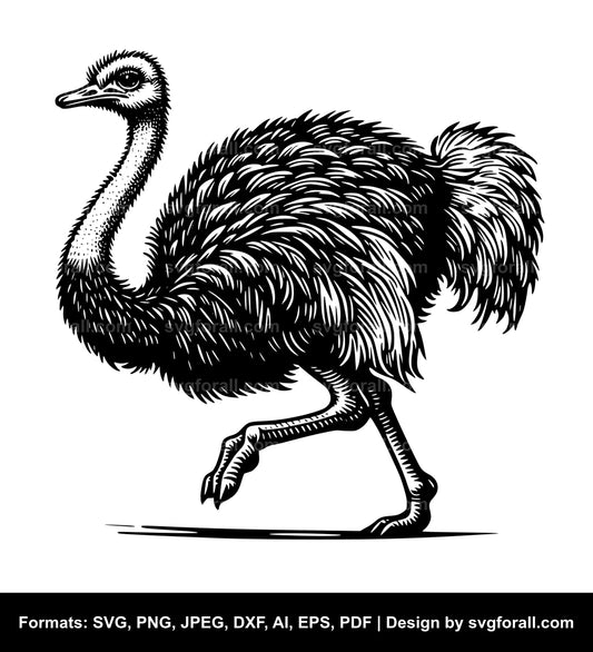 Ostrich Clipart SVG