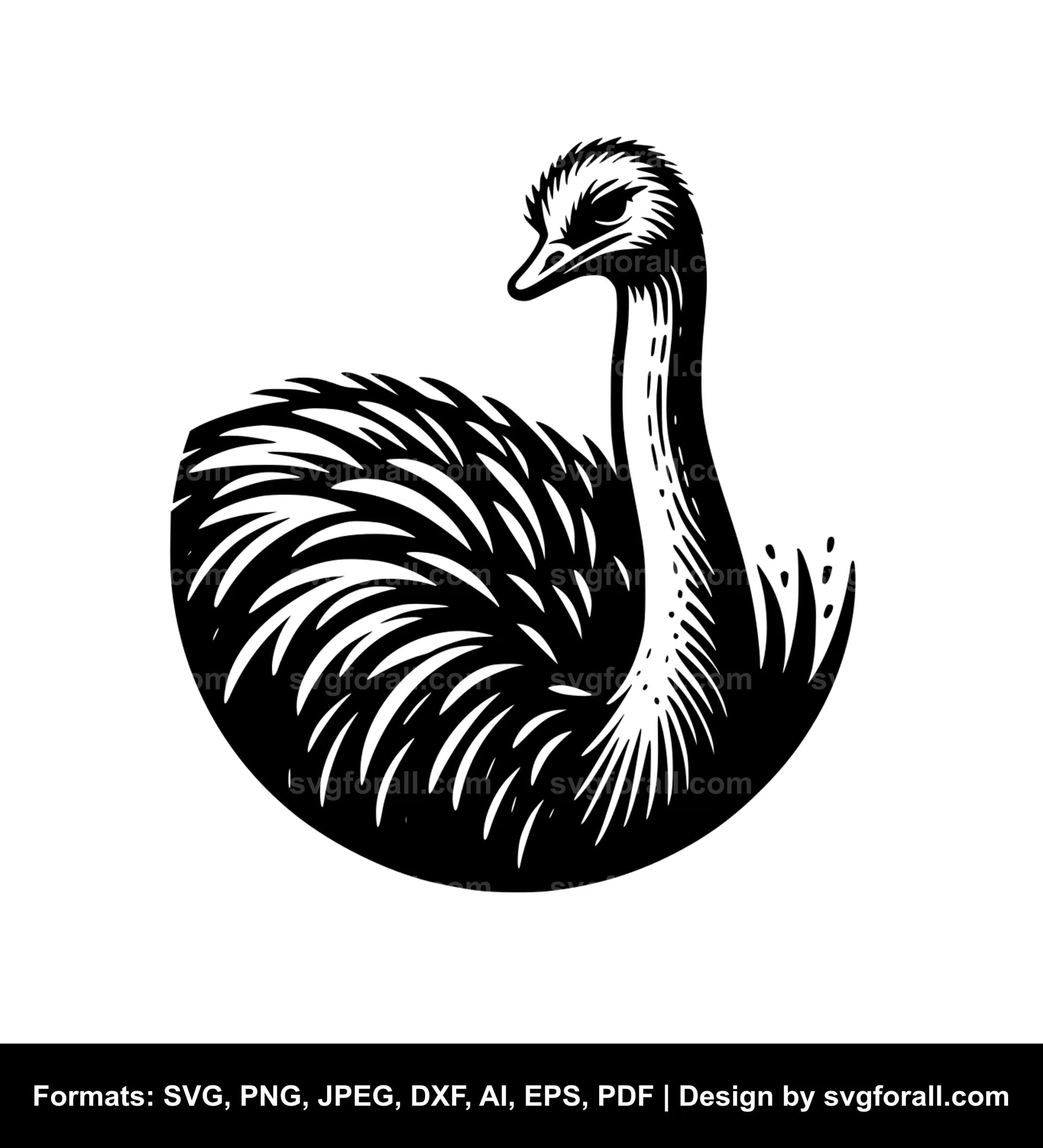 Ostrich SVG File