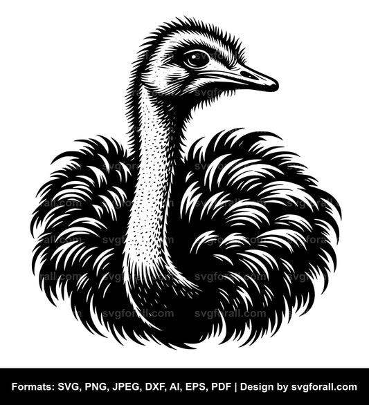 Ostrich SVG PNG