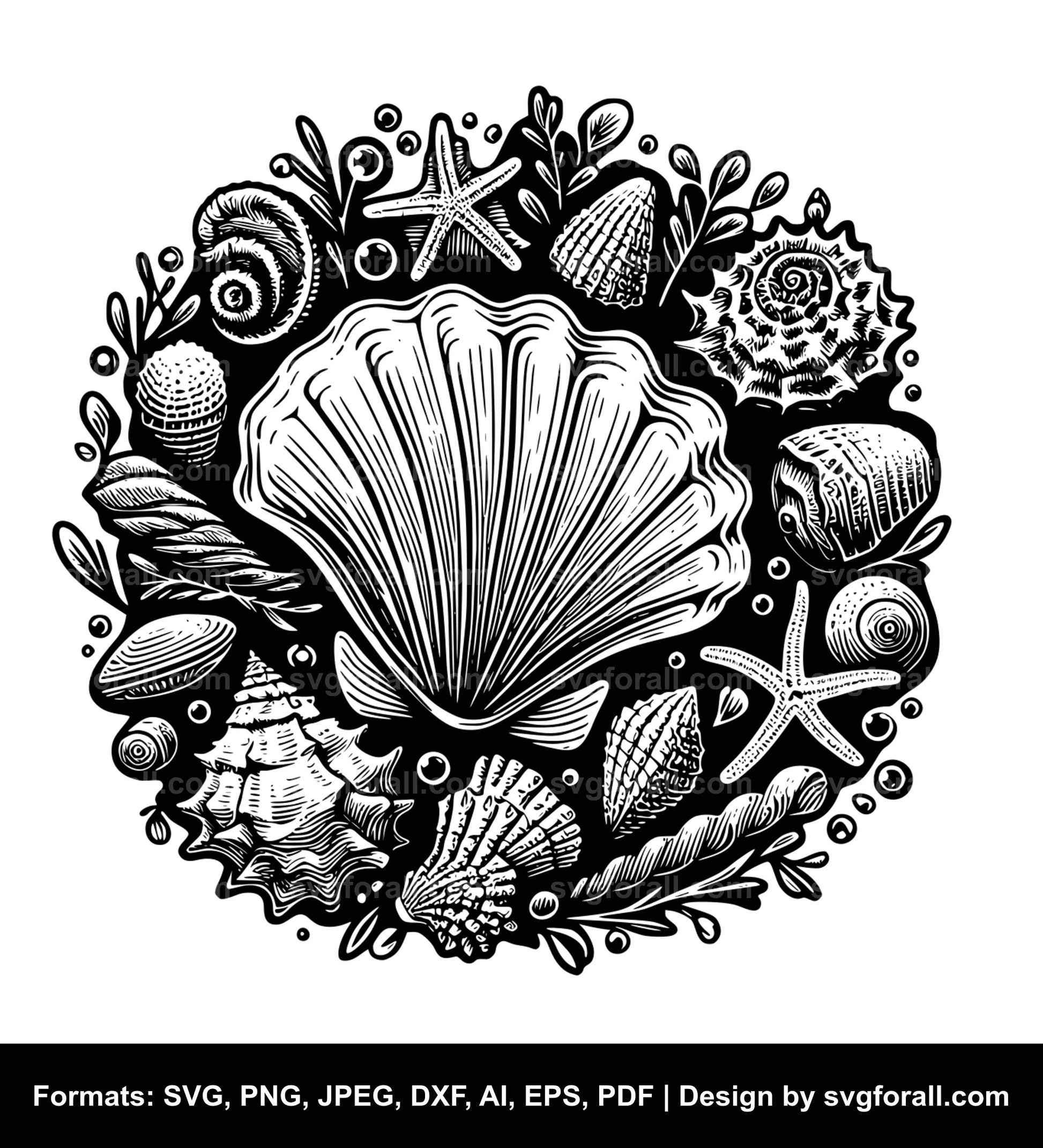 Oyster SVG PNG Image