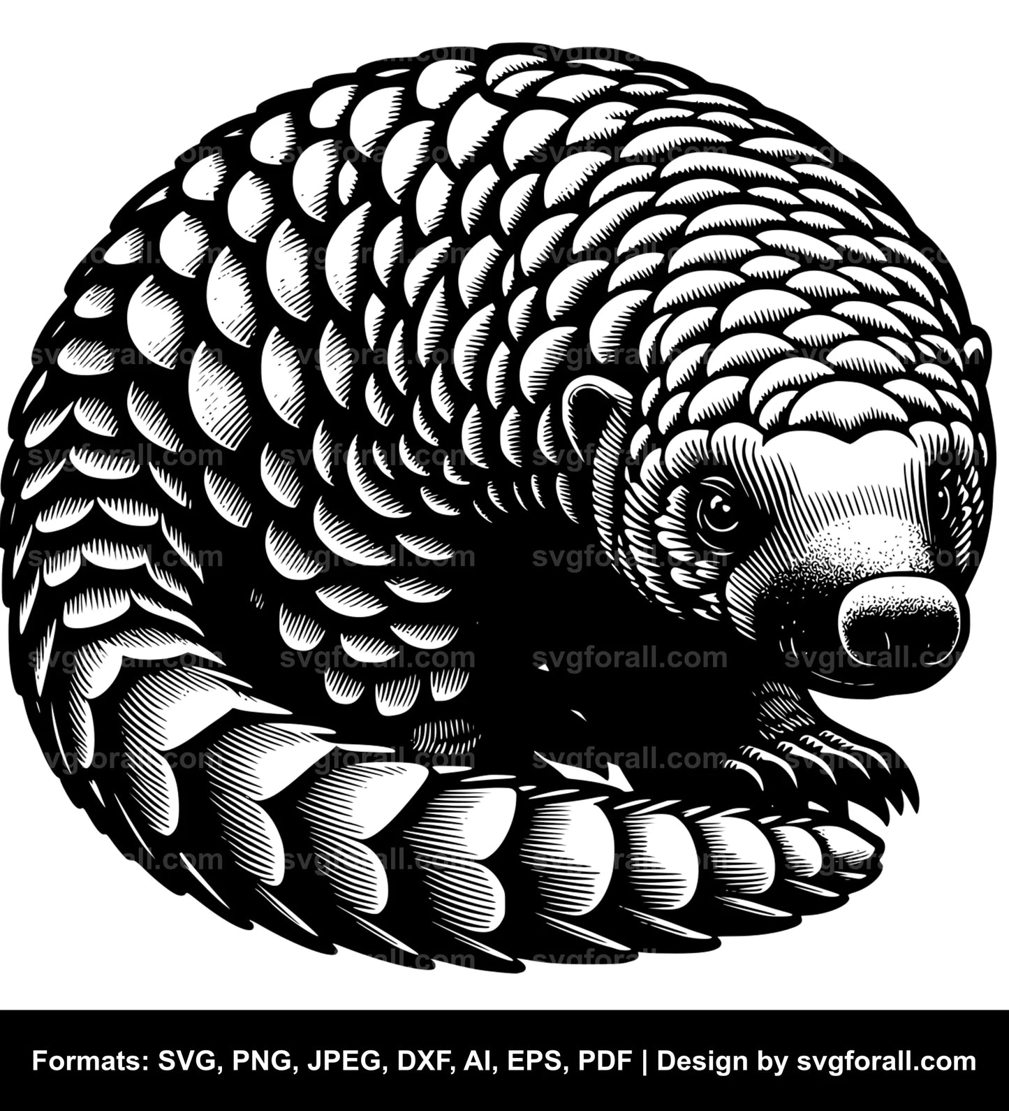 Pangolin SVG Vector