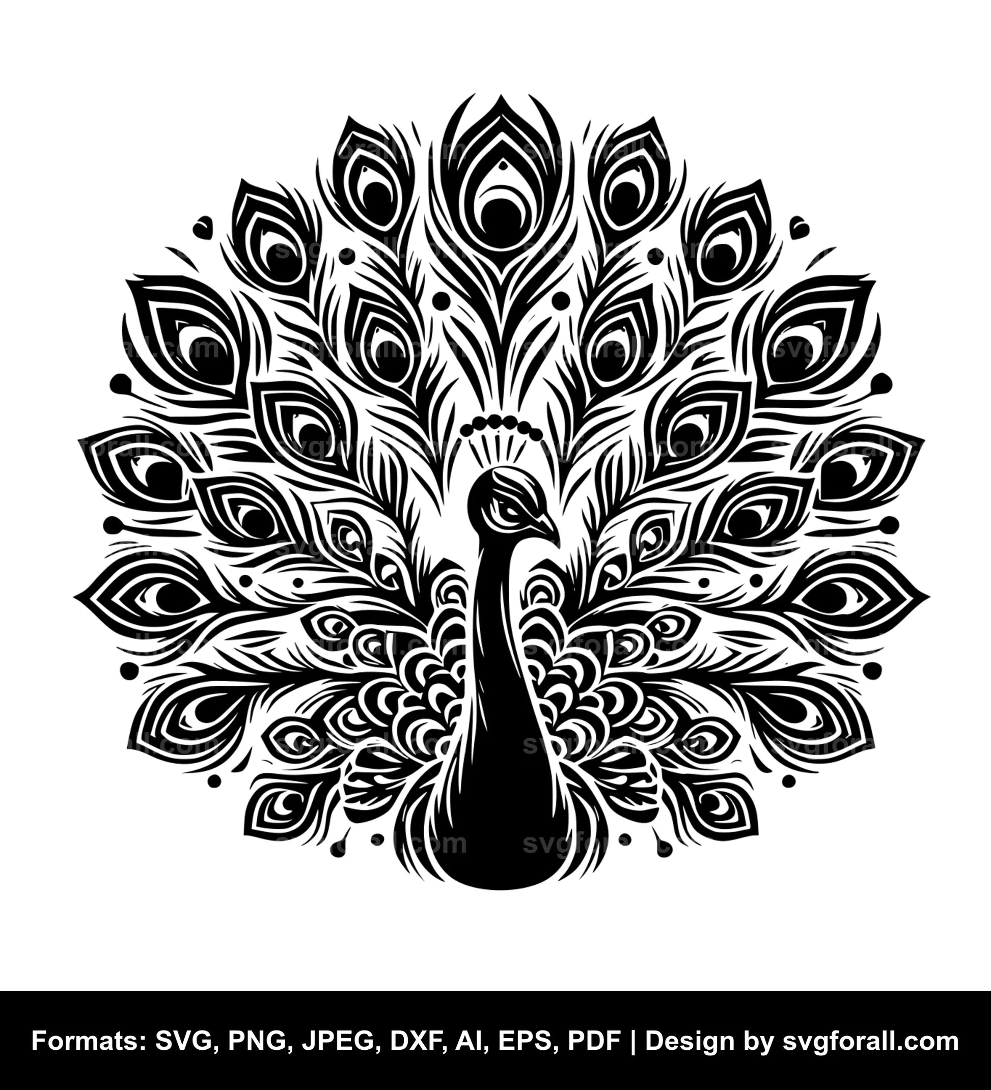 Peacock Clipart SVG