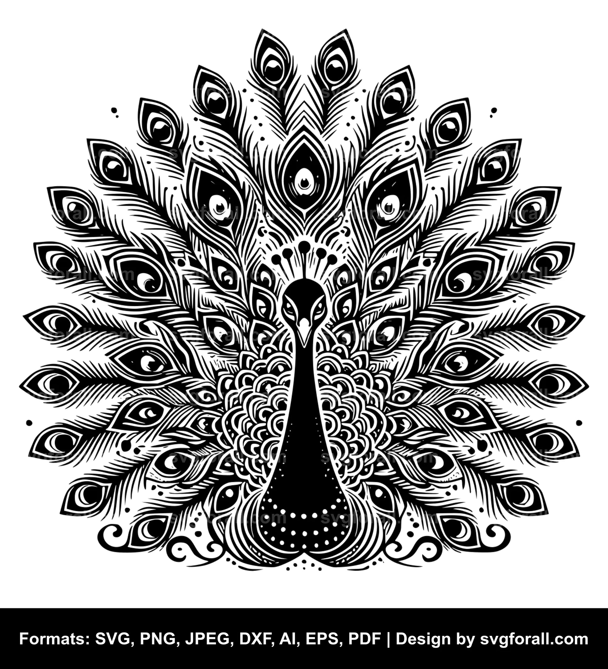 Peacock SVG Clip Art