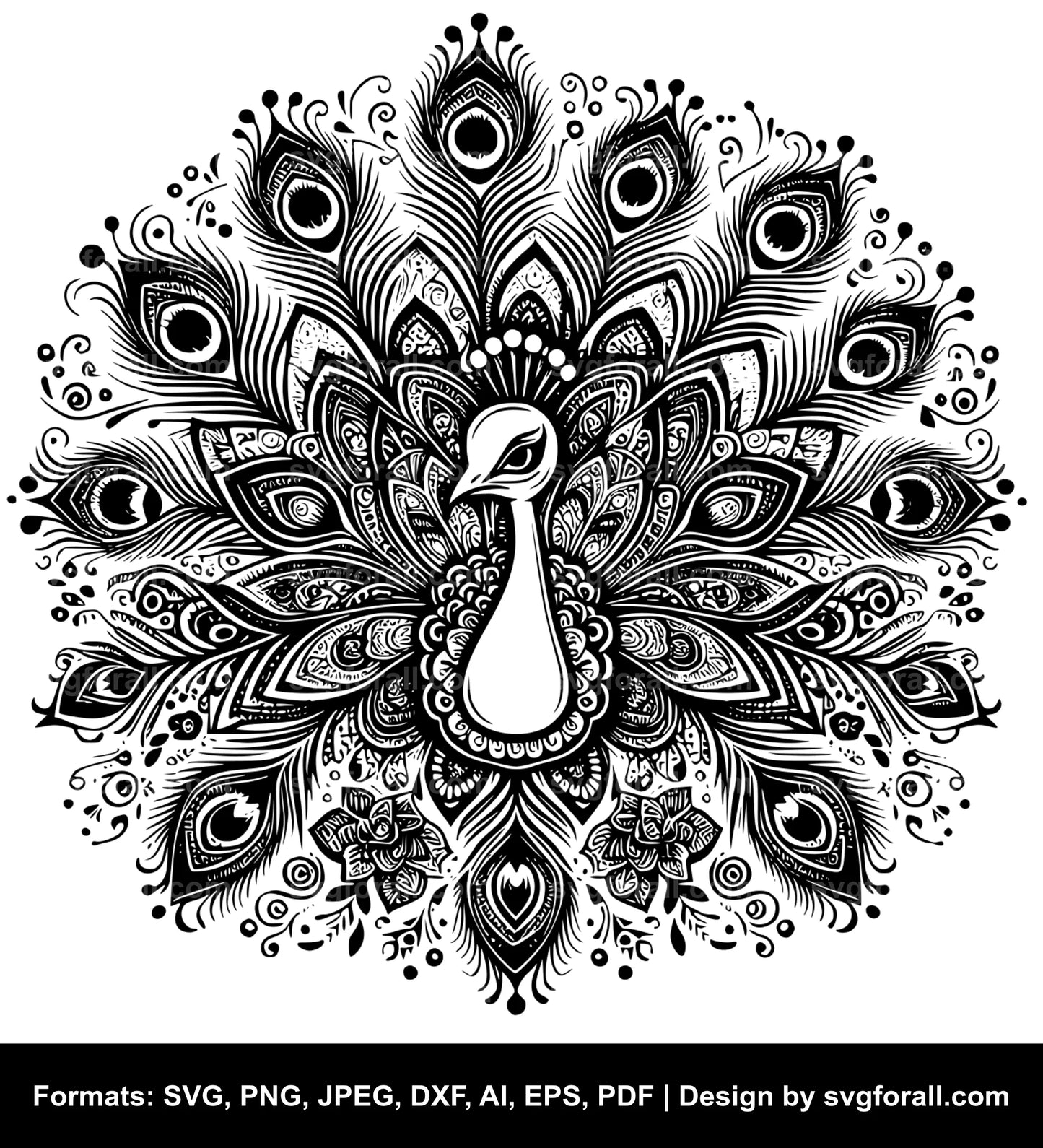 Peacock SVG Clipart