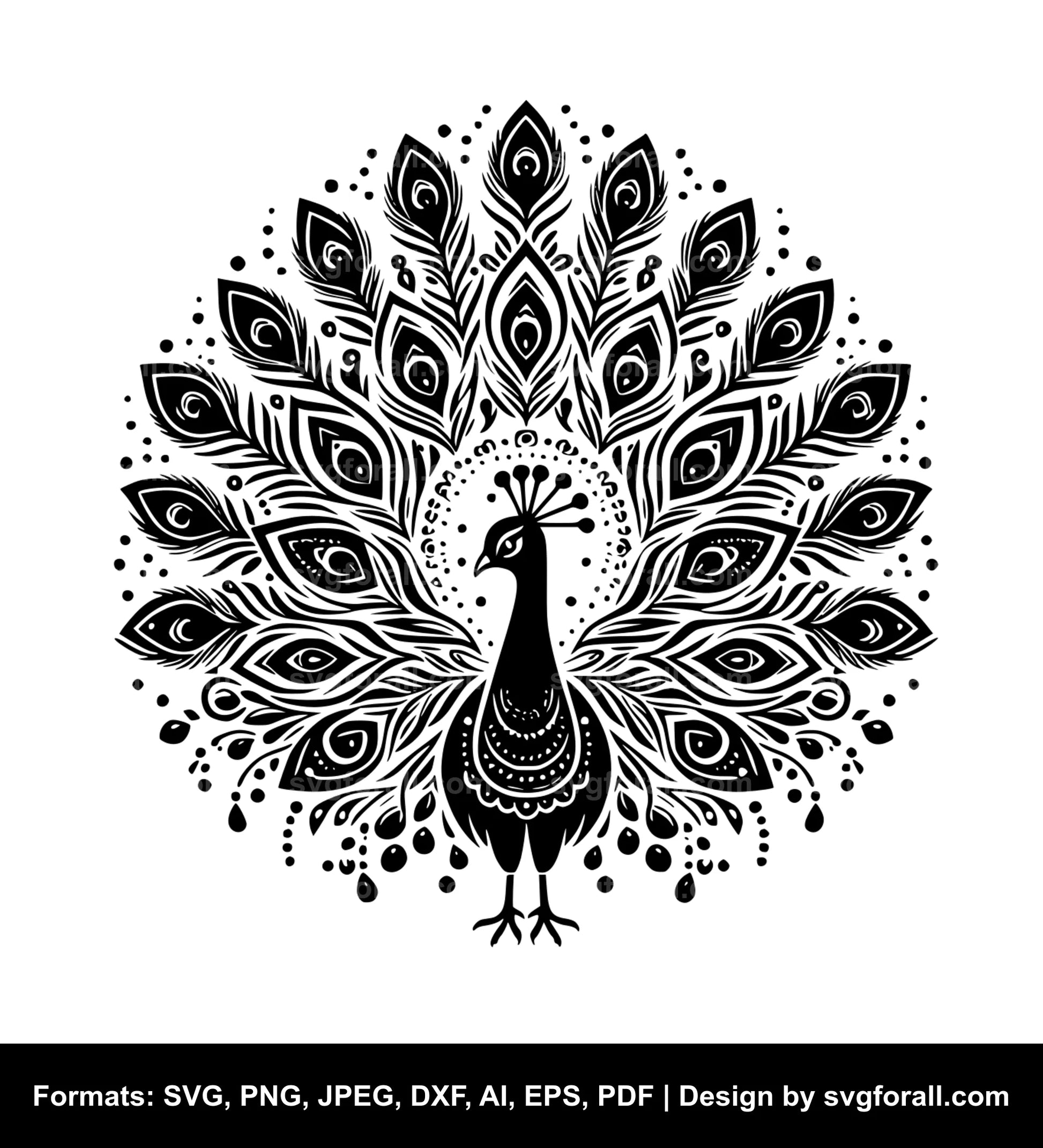 Peacock SVG Design