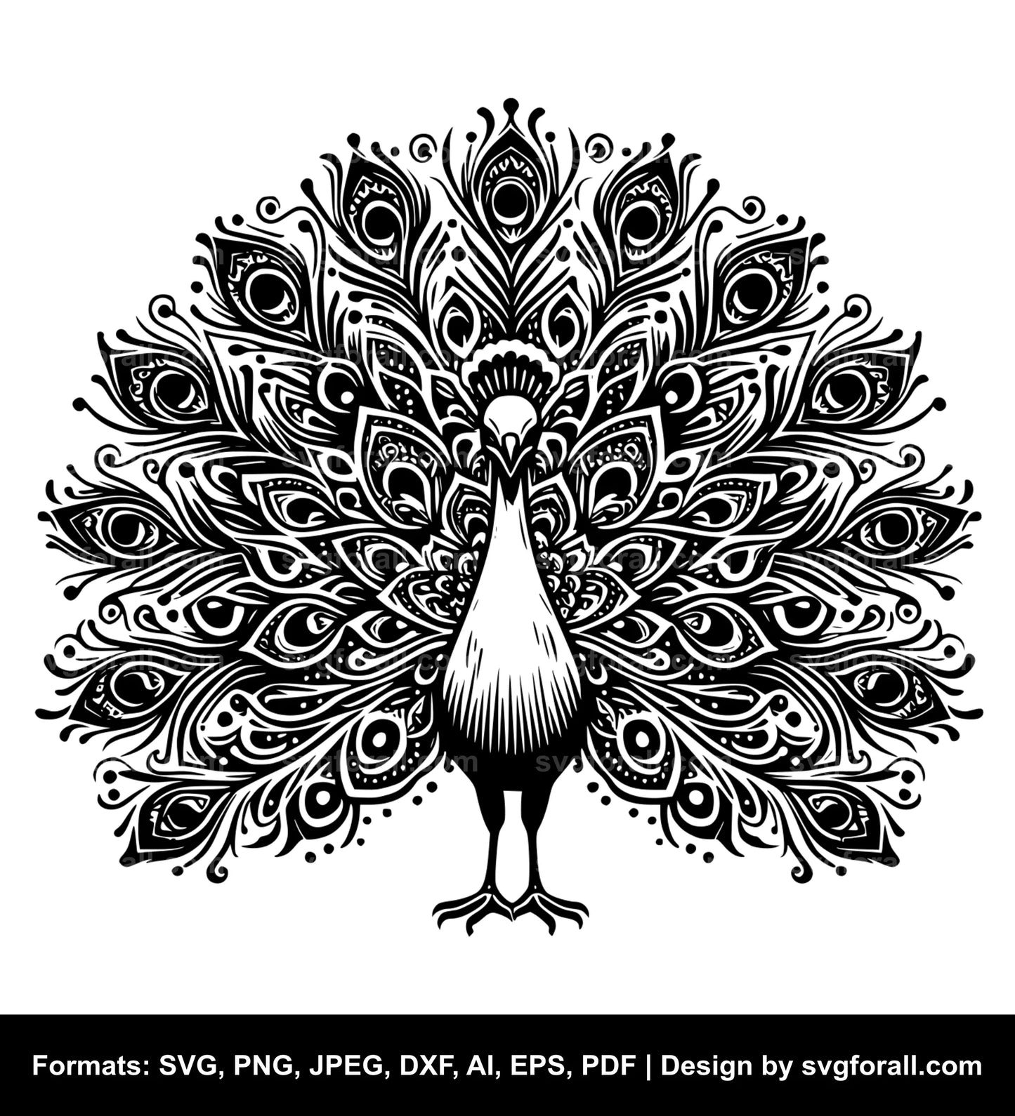 Peacock SVG PNG Image