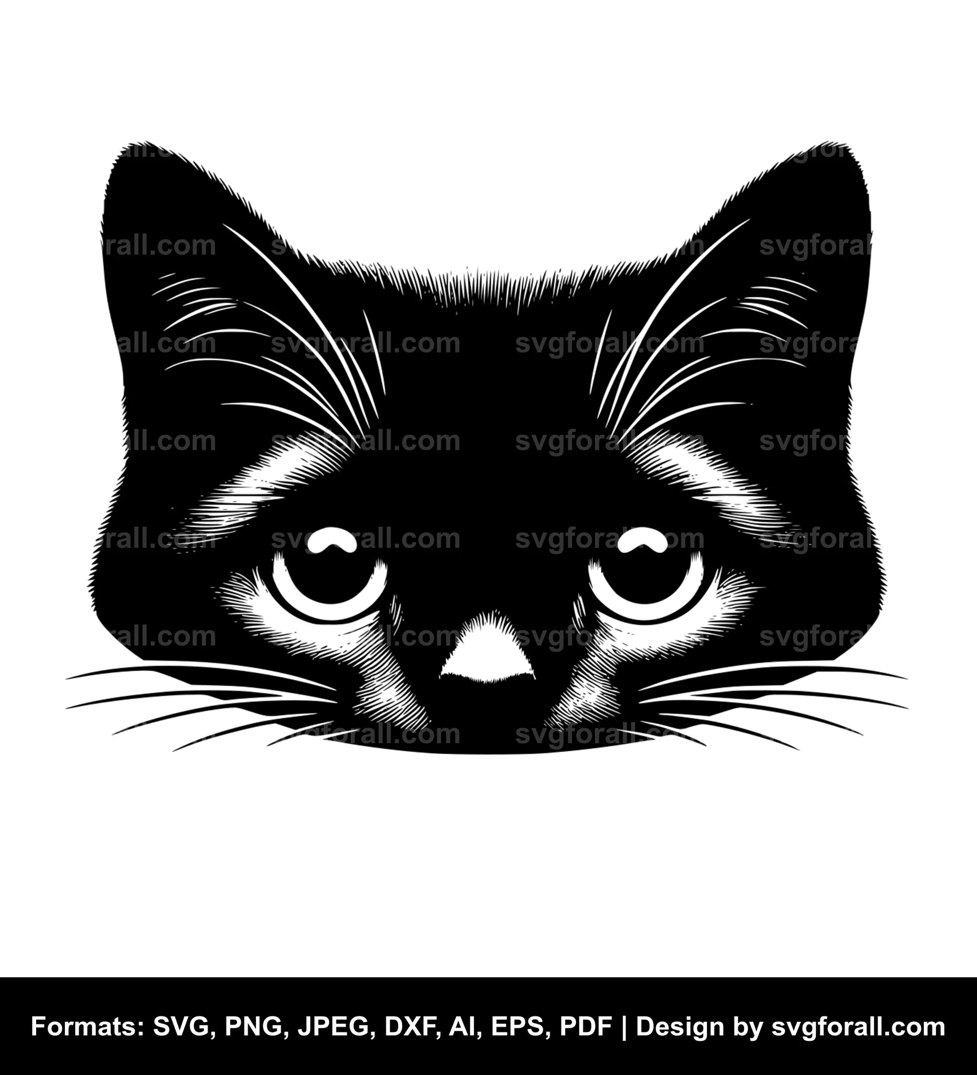 Peeking Cat SVG PNG Image